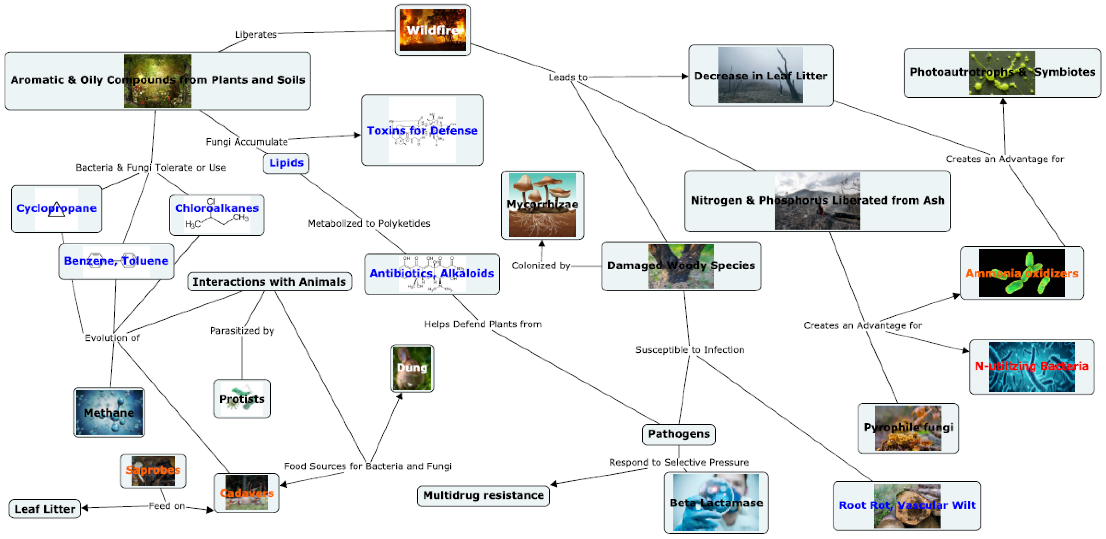 Microorganisms 10 01218 g009
