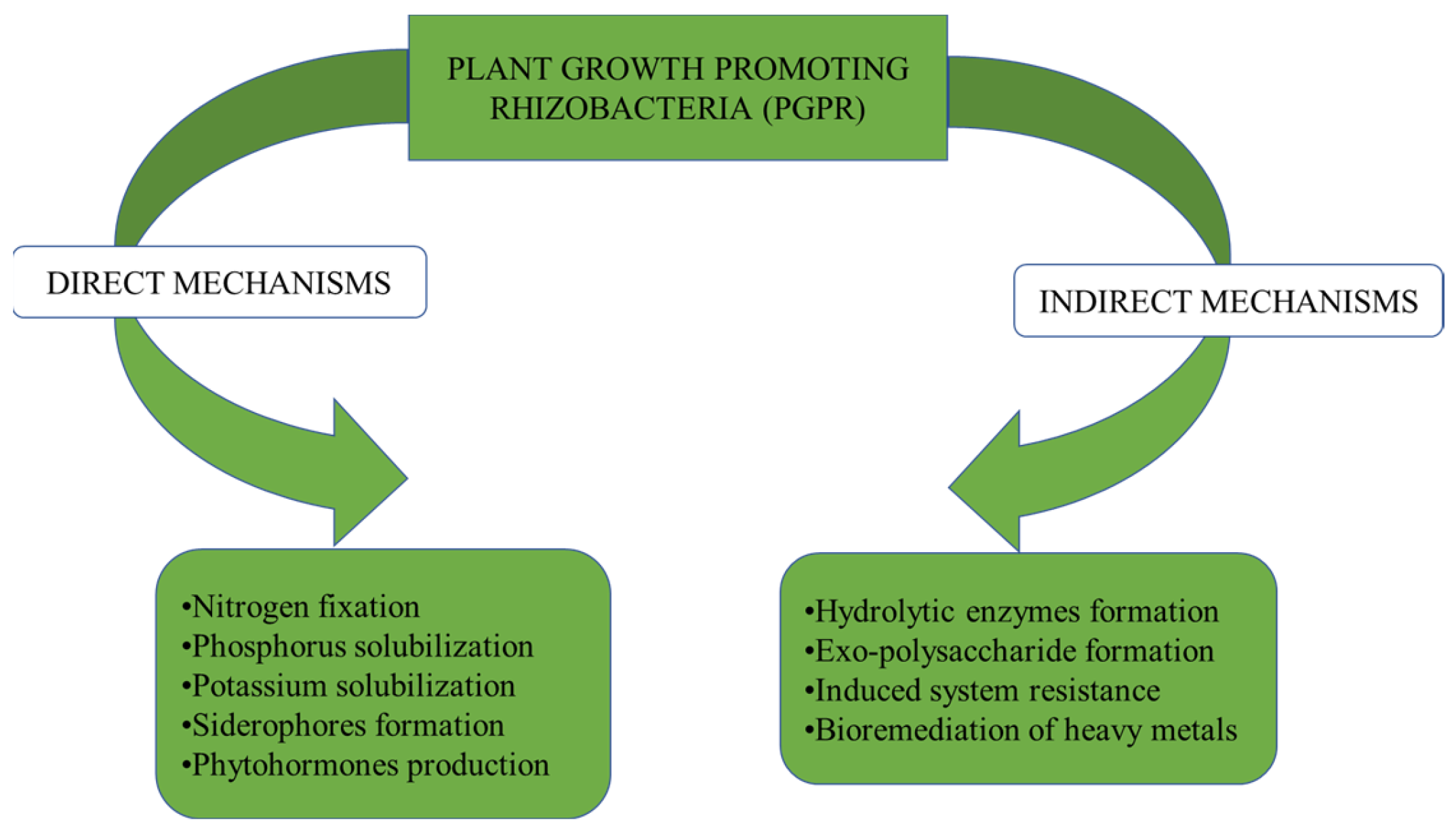 Microorganisms 10 01220 g001 Microorganisms 10 01220 g001