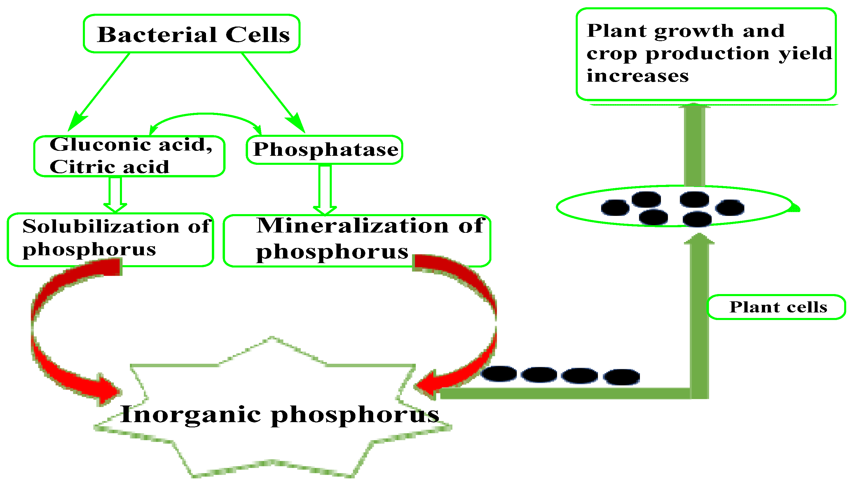 Microorganisms 10 01220 g003 Microorganisms 10 01220 g003