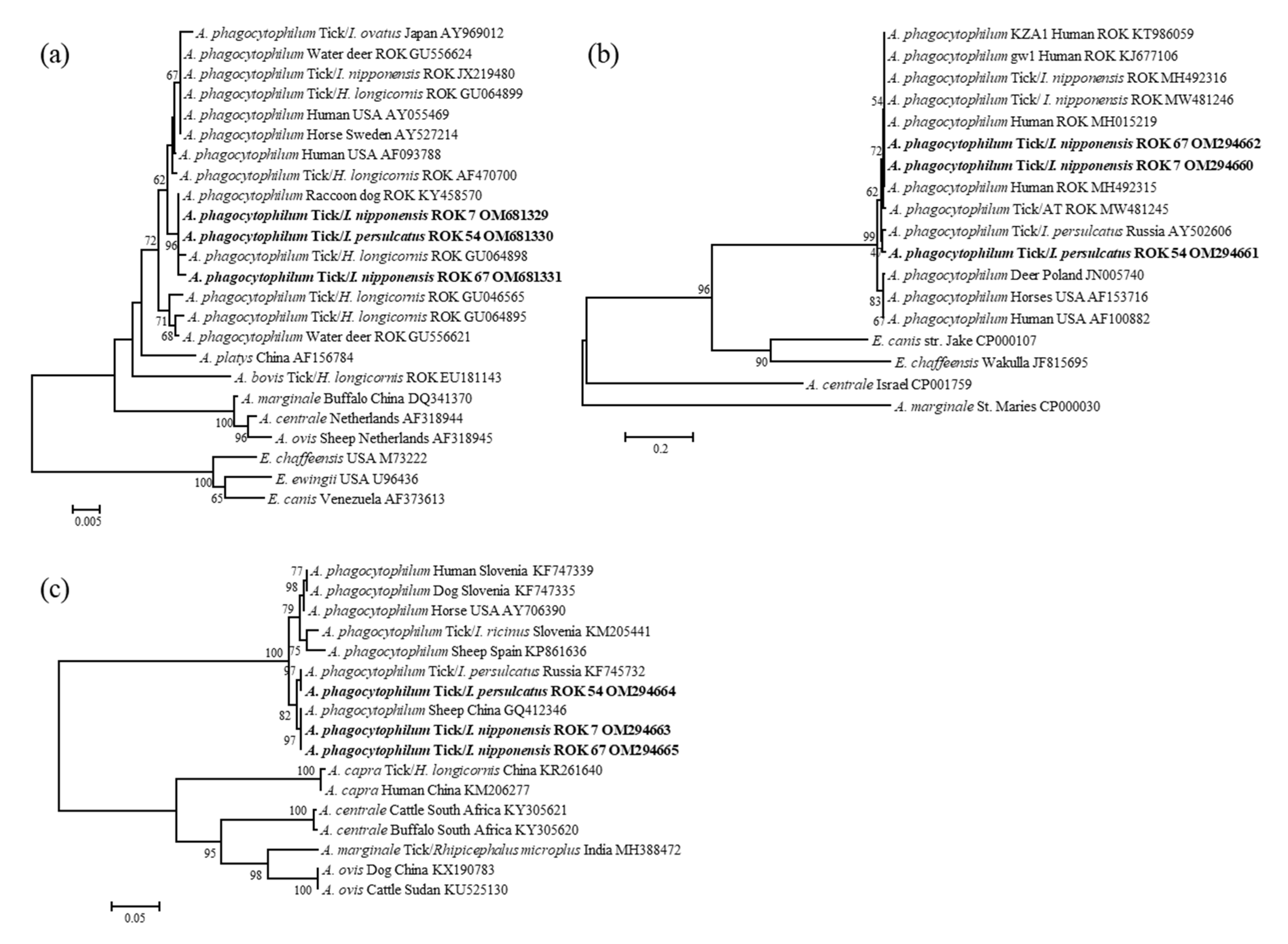 Microorganisms 10 01224 g001