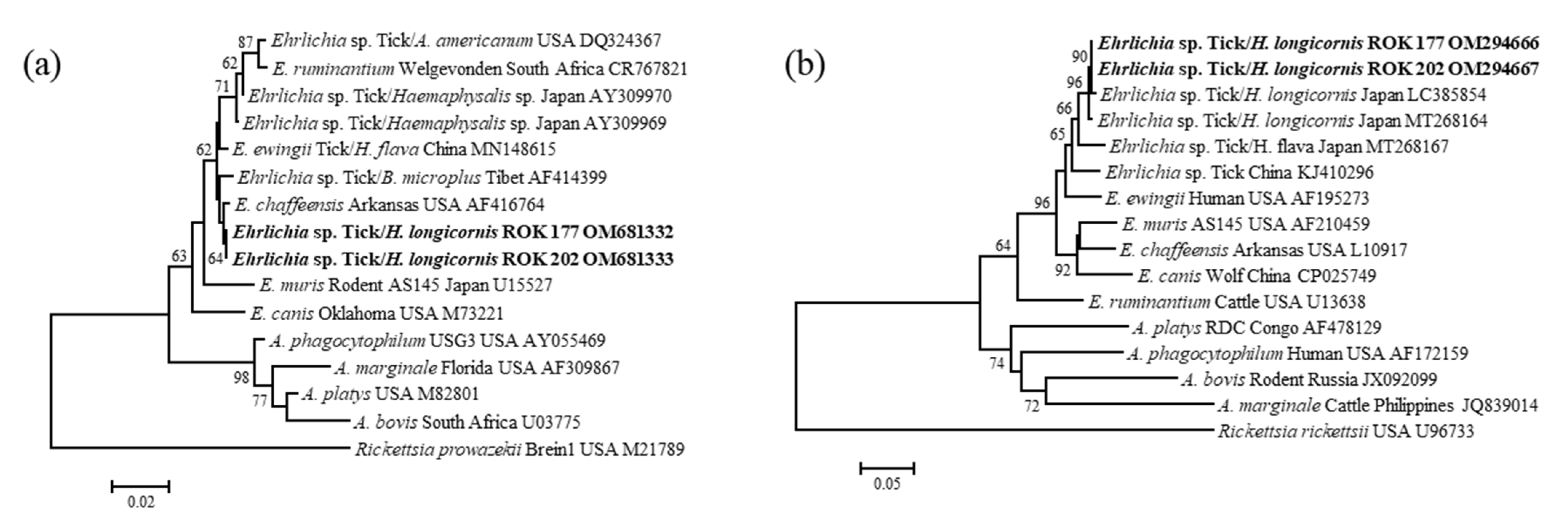 Microorganisms 10 01224 g002