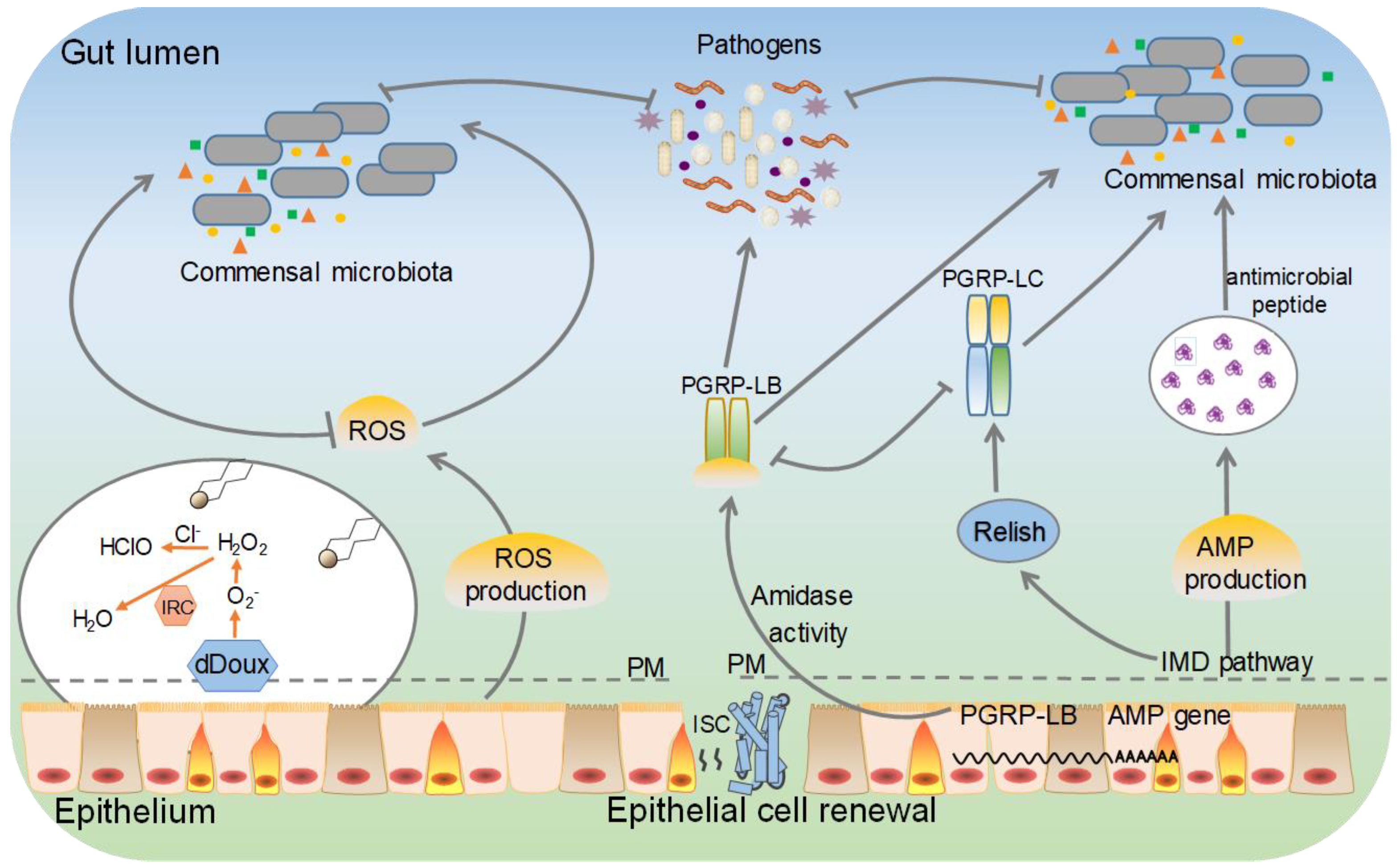 Microorganisms 10 01234 g002 550