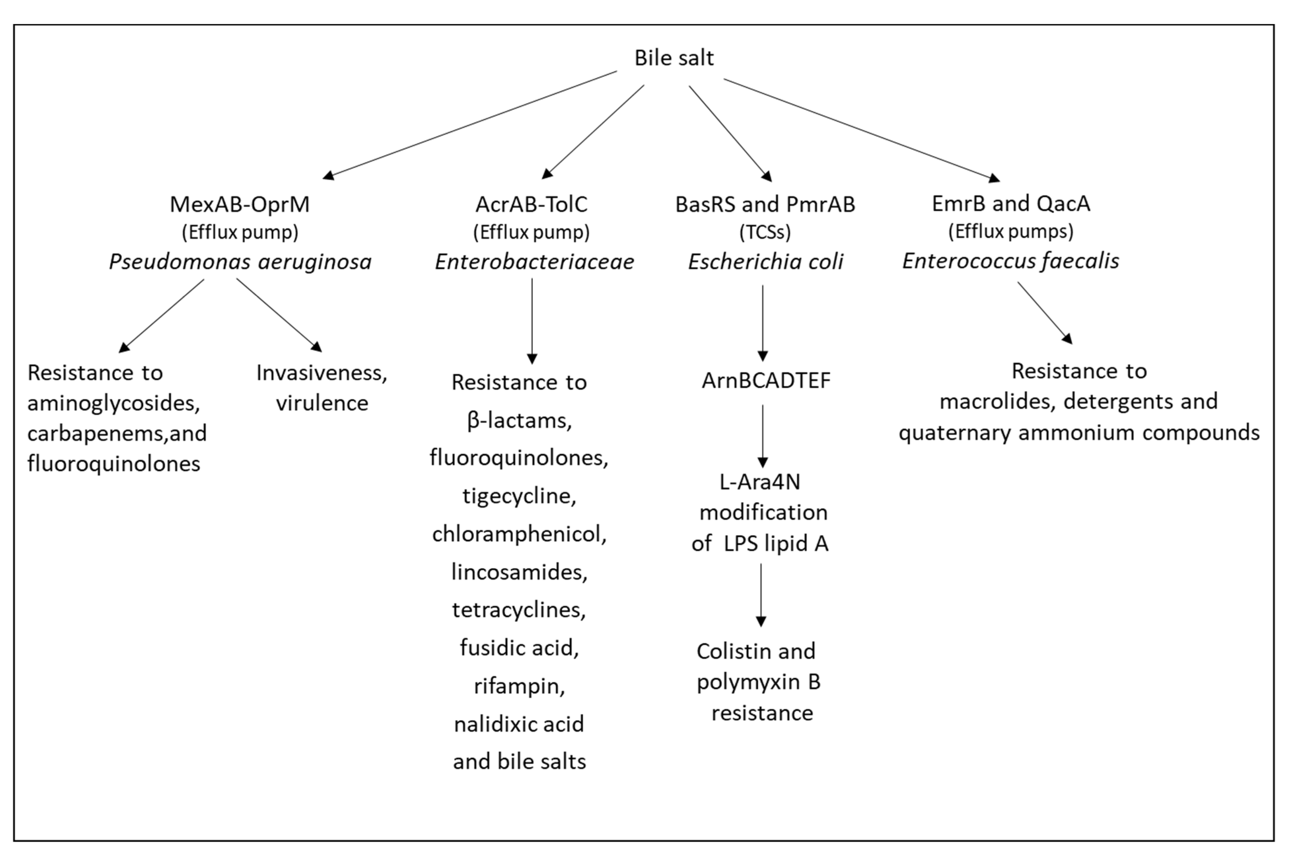 Microorganisms 10 01239 g003 Microorganisms 10 01239 g003