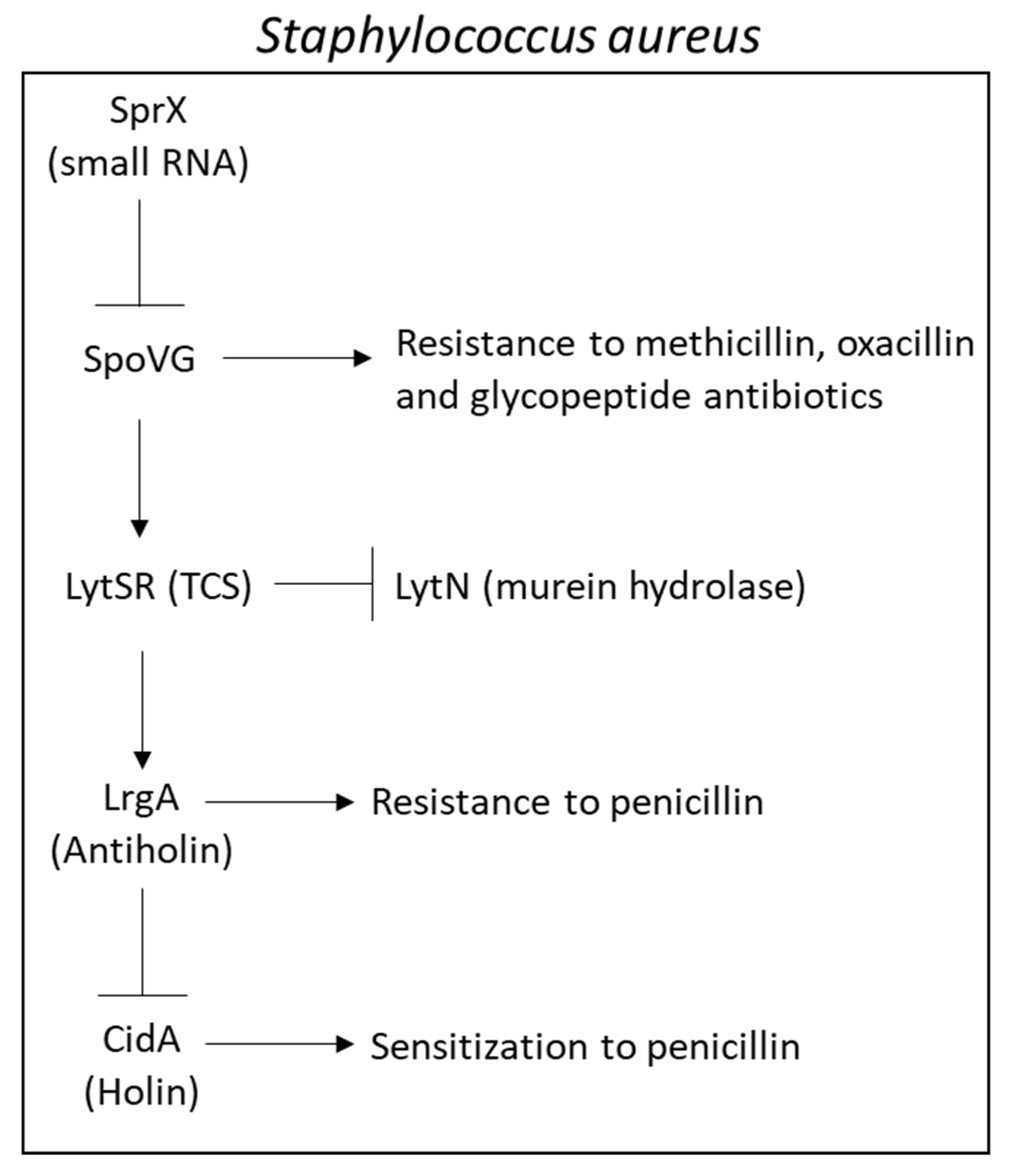 Microorganisms 10 01239 g007 Microorganisms 10 01239 g007