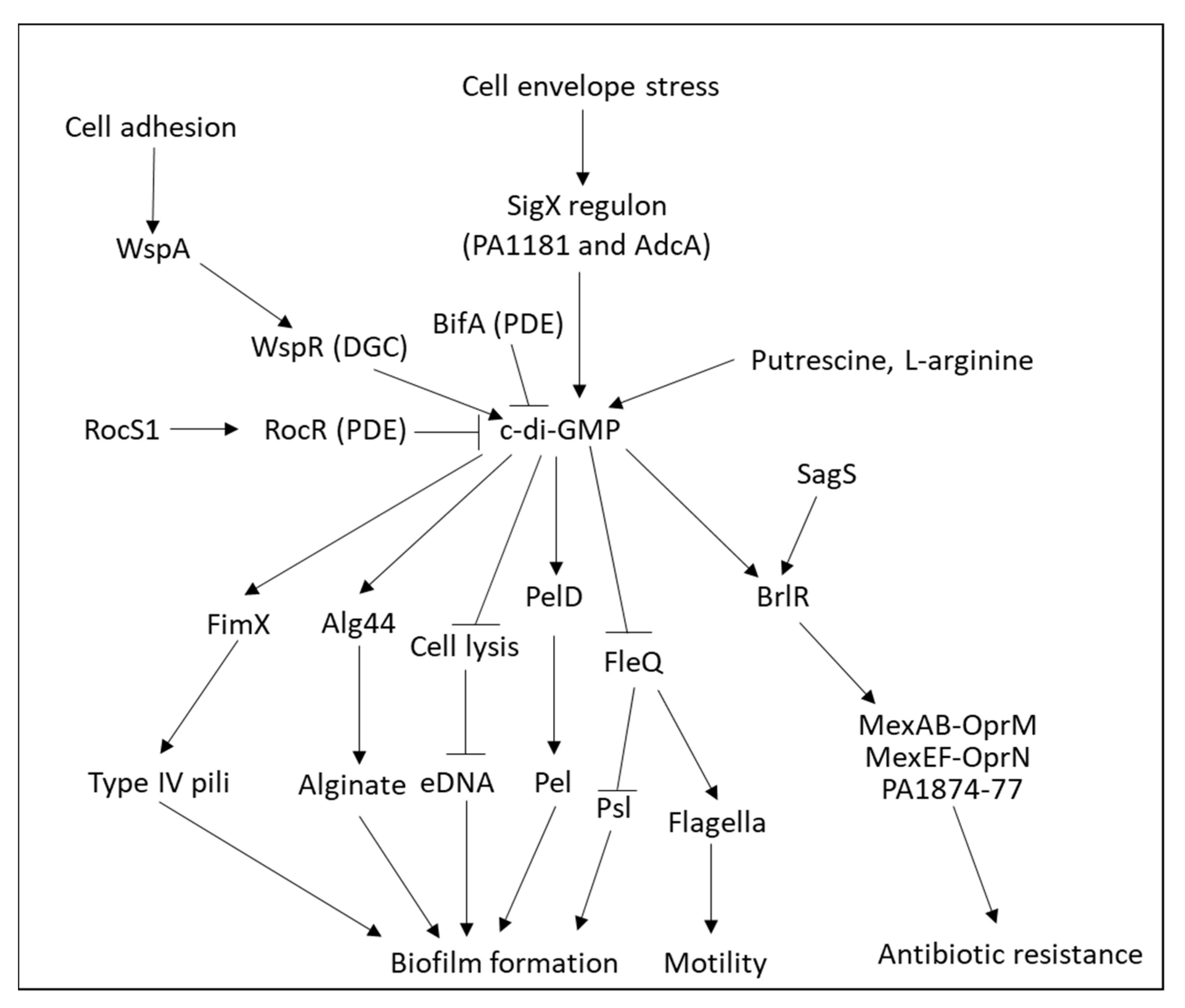 Microorganisms 10 01239 g011 Microorganisms 10 01239 g011