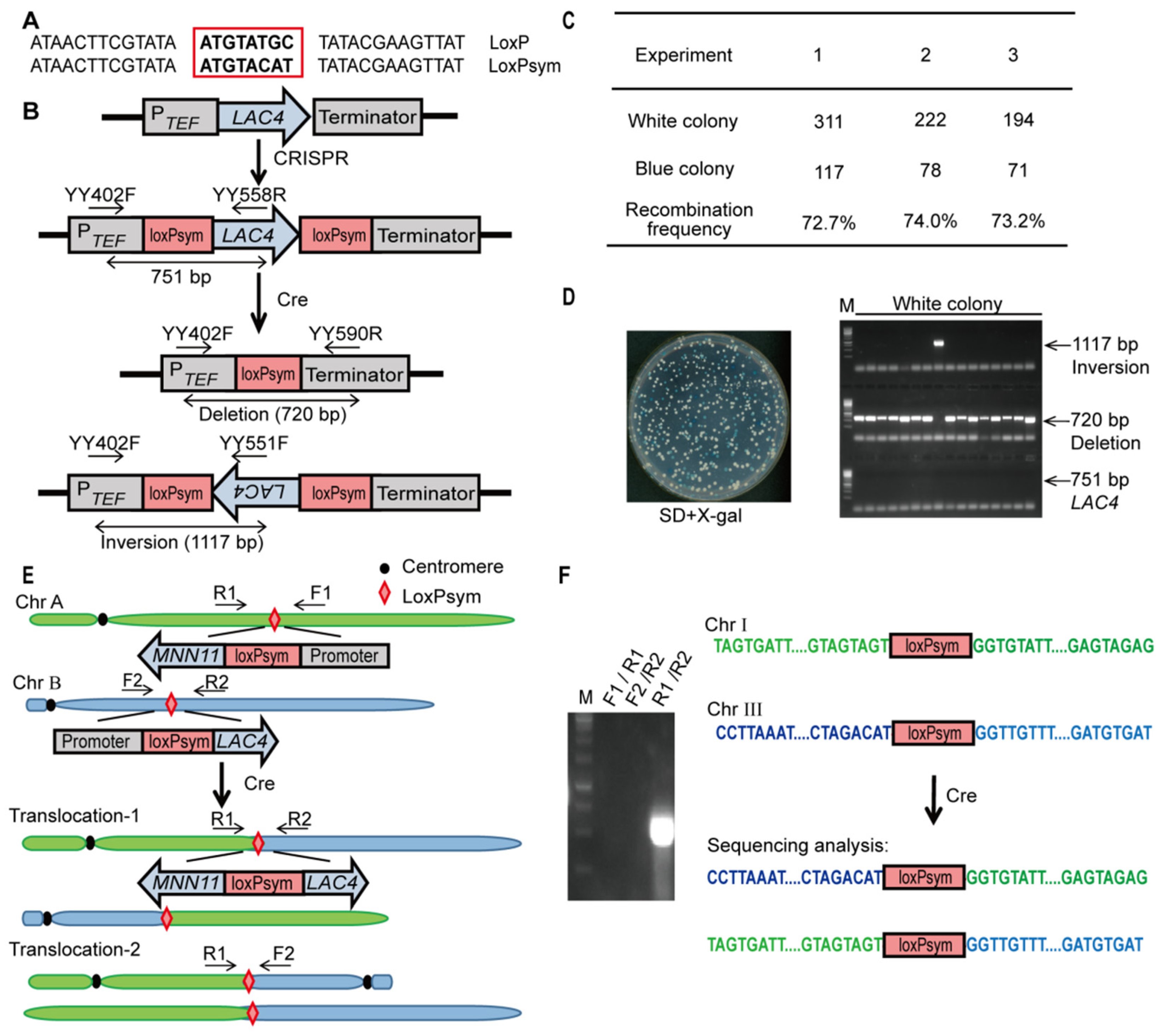 Microorganisms 10 01240 g003 Microorganisms 10 01240 g003