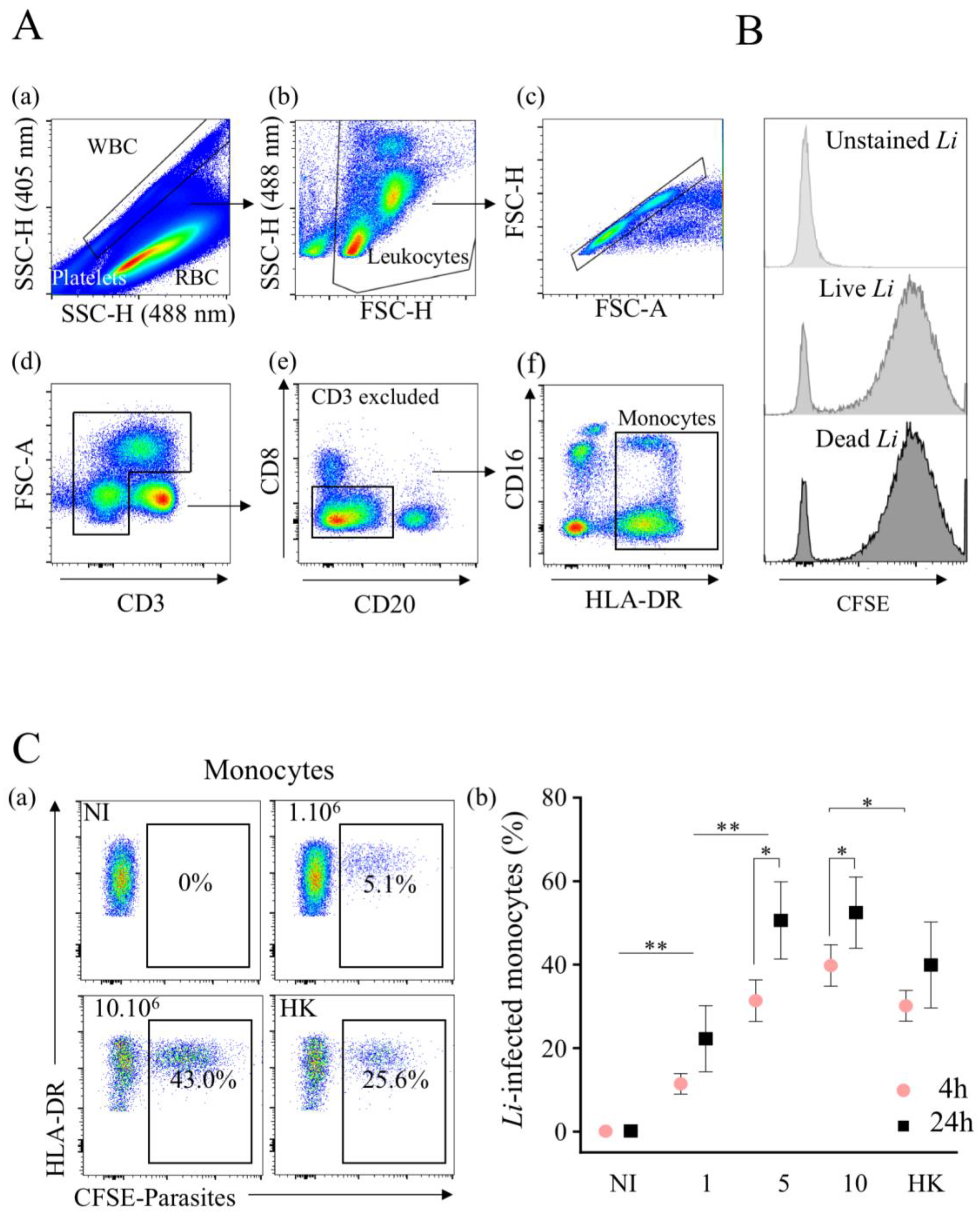 Microorganisms 10 01243 g001