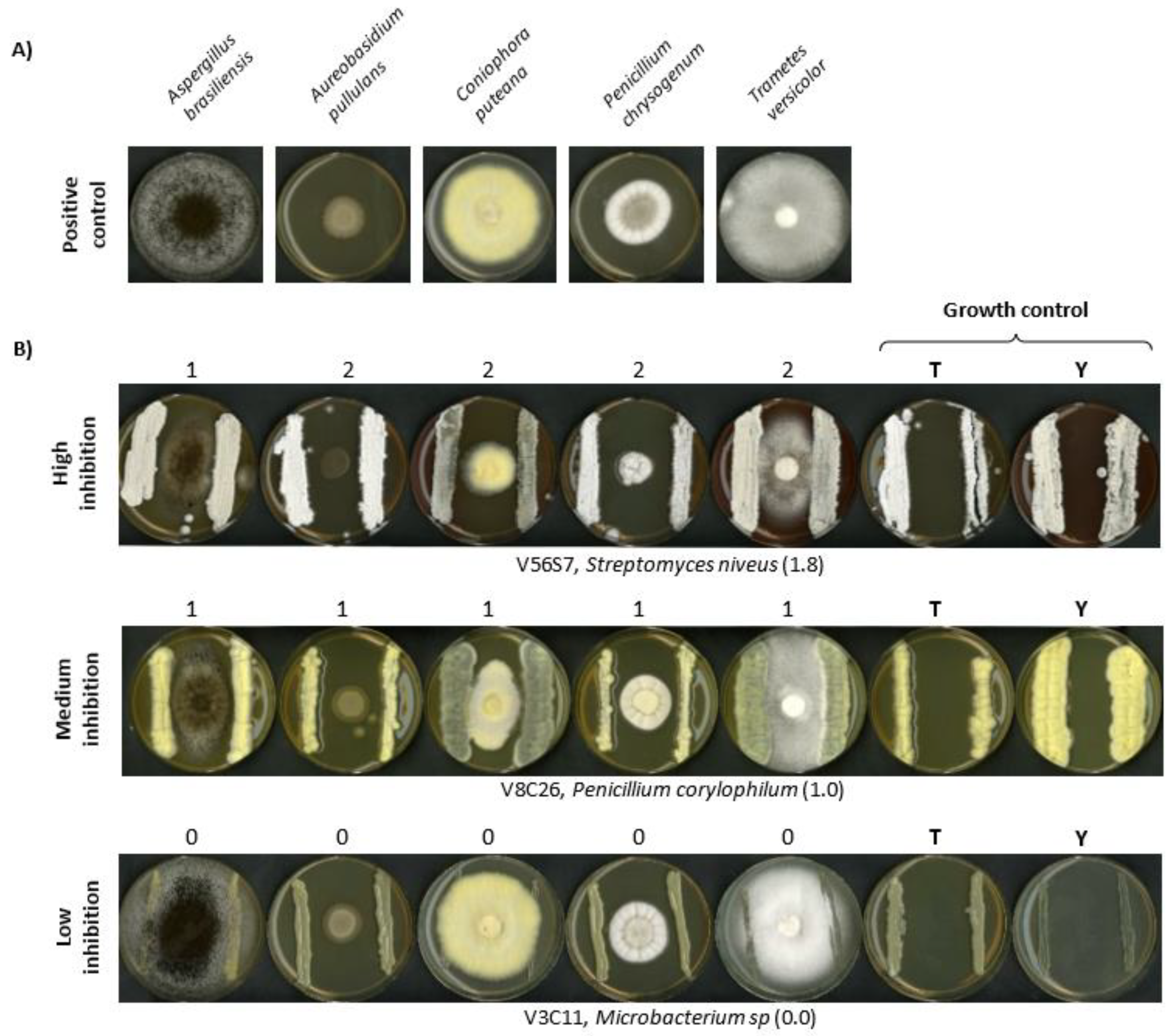 Microorganisms 10 01249 g005 Microorganisms 10 01249 g005
