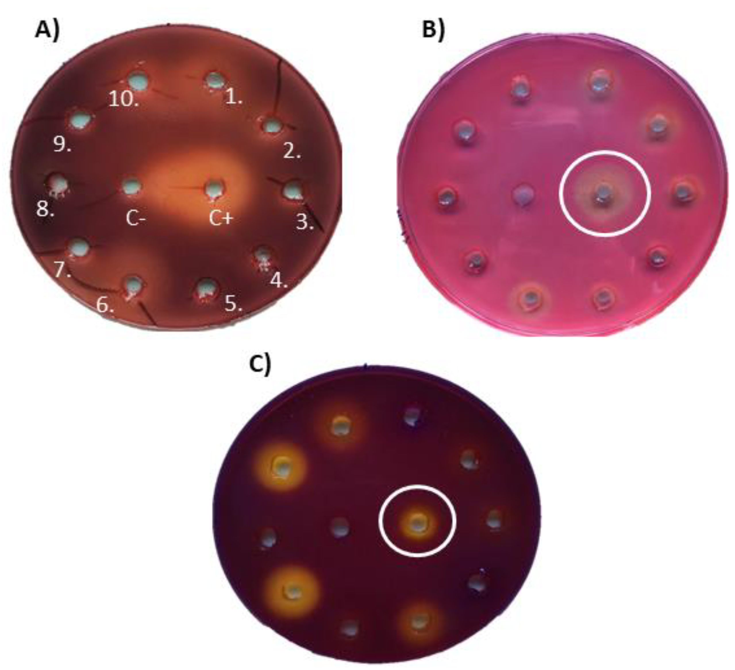 Microorganisms 10 01249 g006 Microorganisms 10 01249 g006