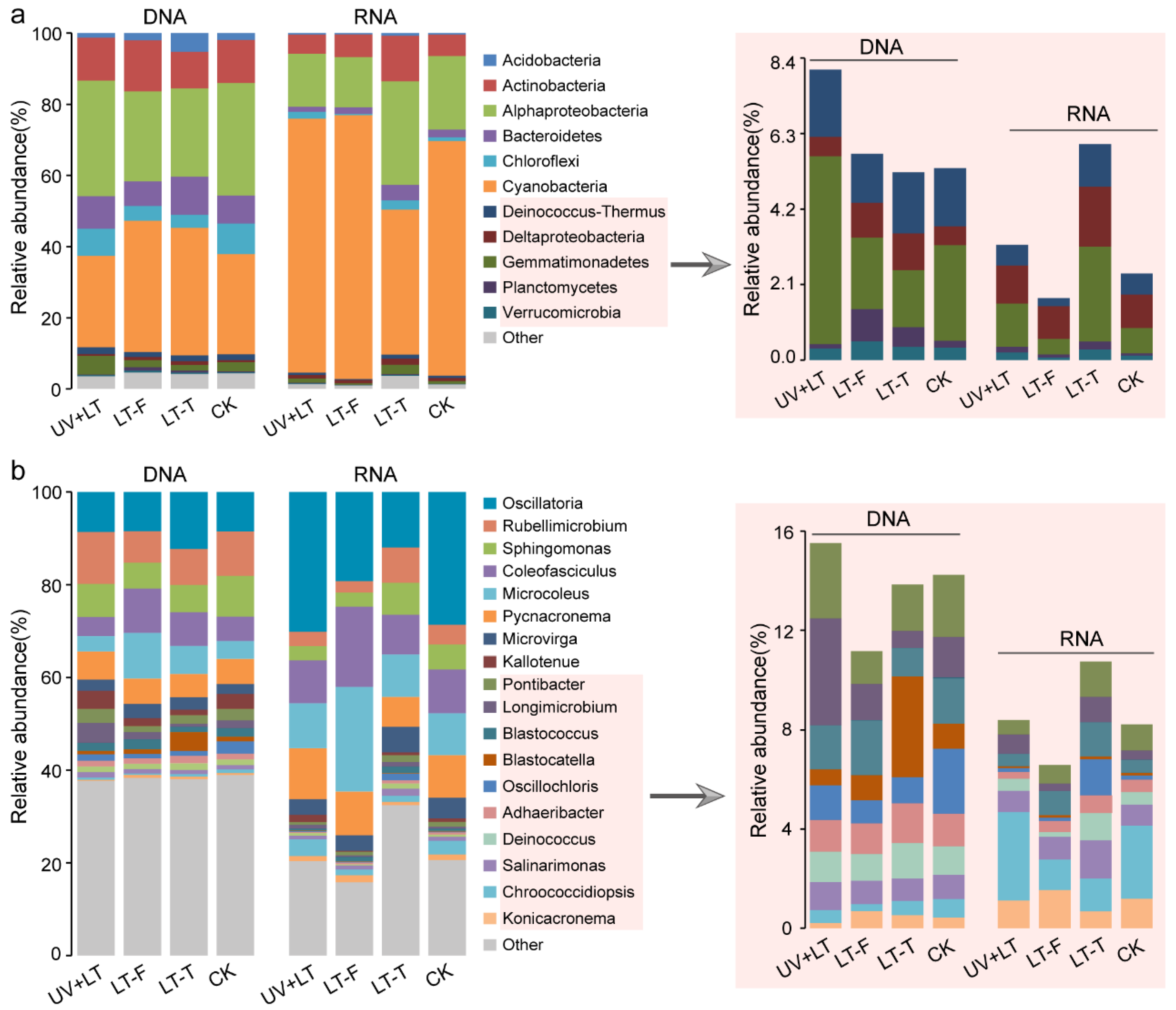 Microorganisms 10 01252 g004