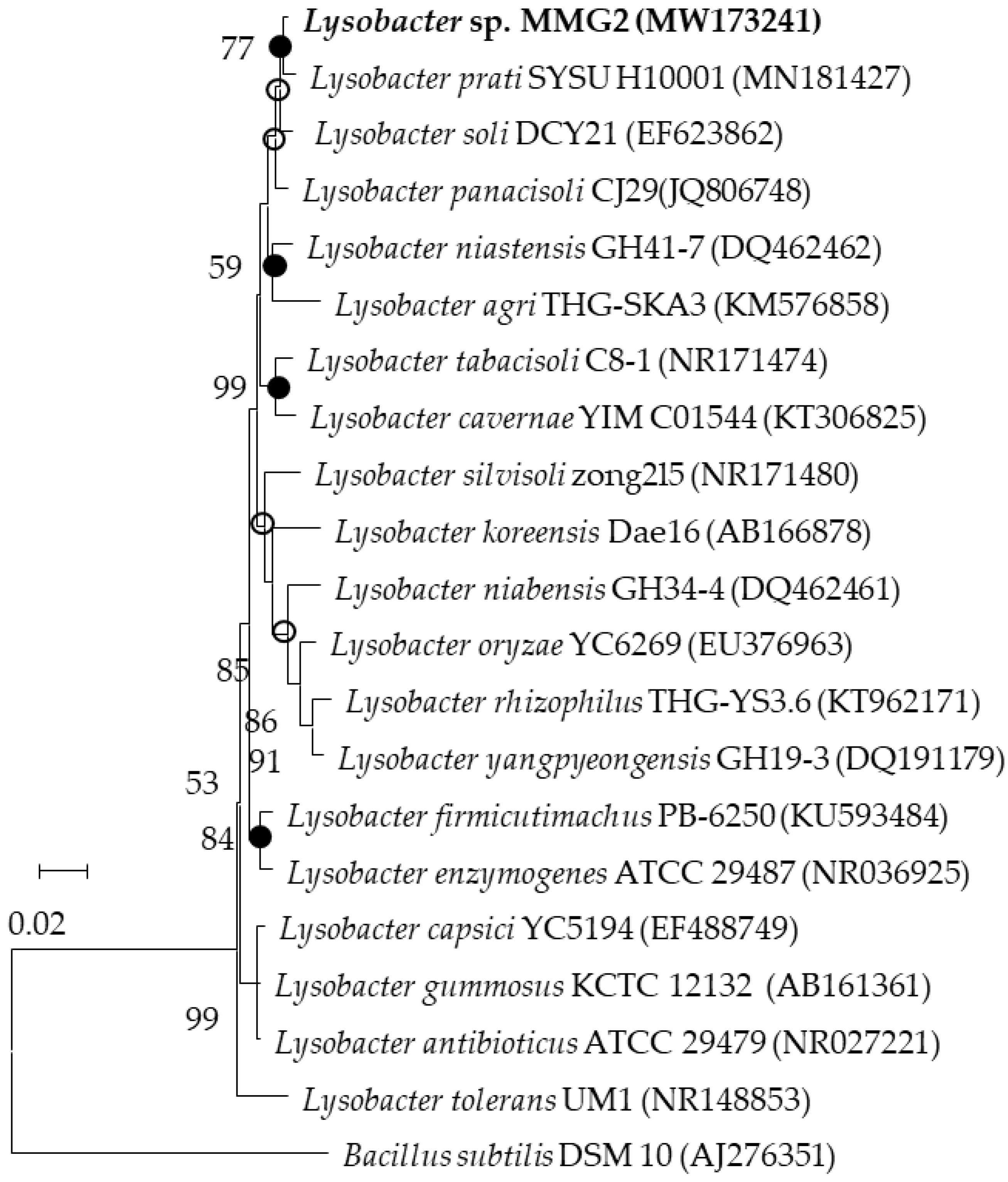 Microorganisms 10 01257 g001 550