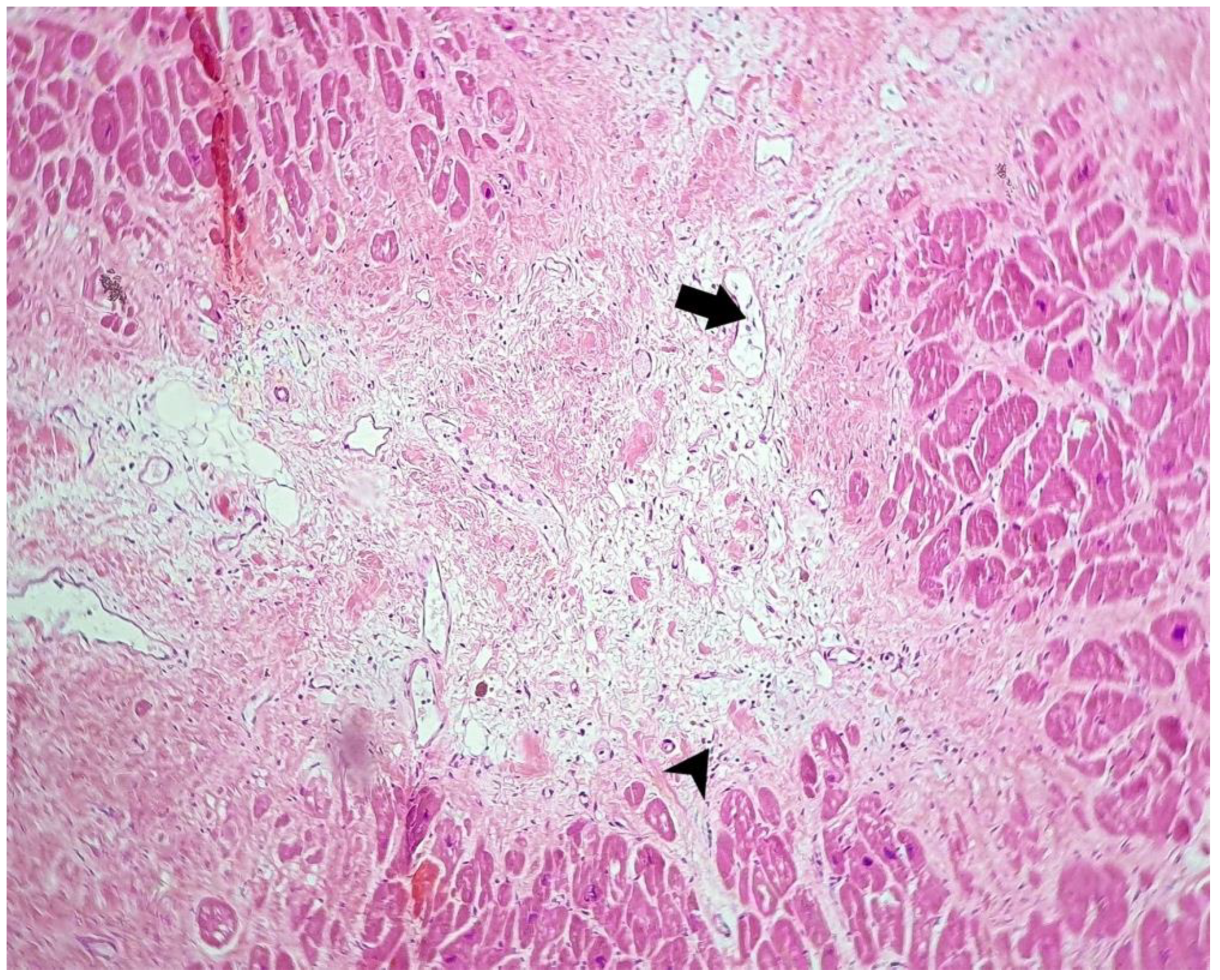 Microorganisms 10 01258 g002 550