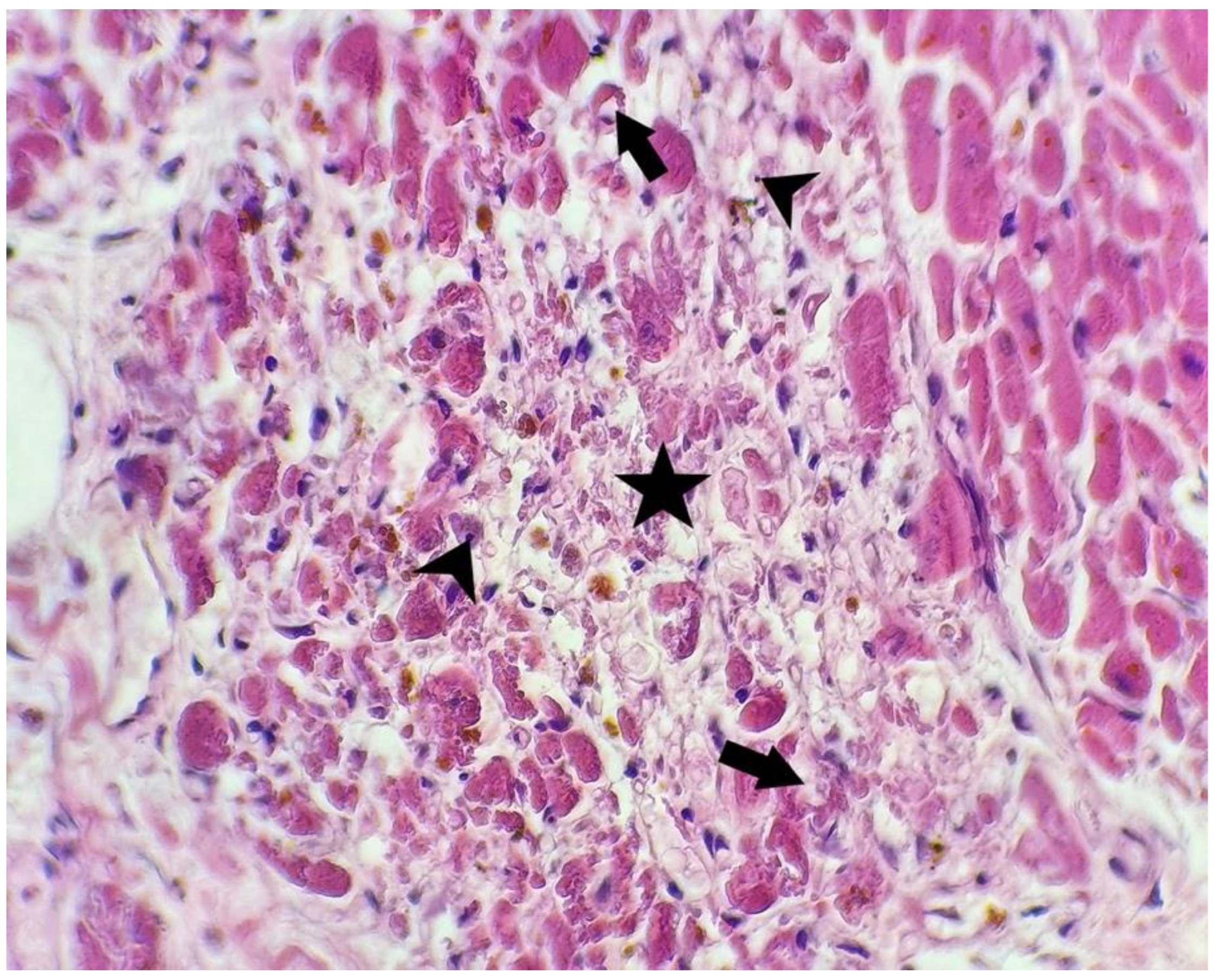 Microorganisms 10 01258 g003 550