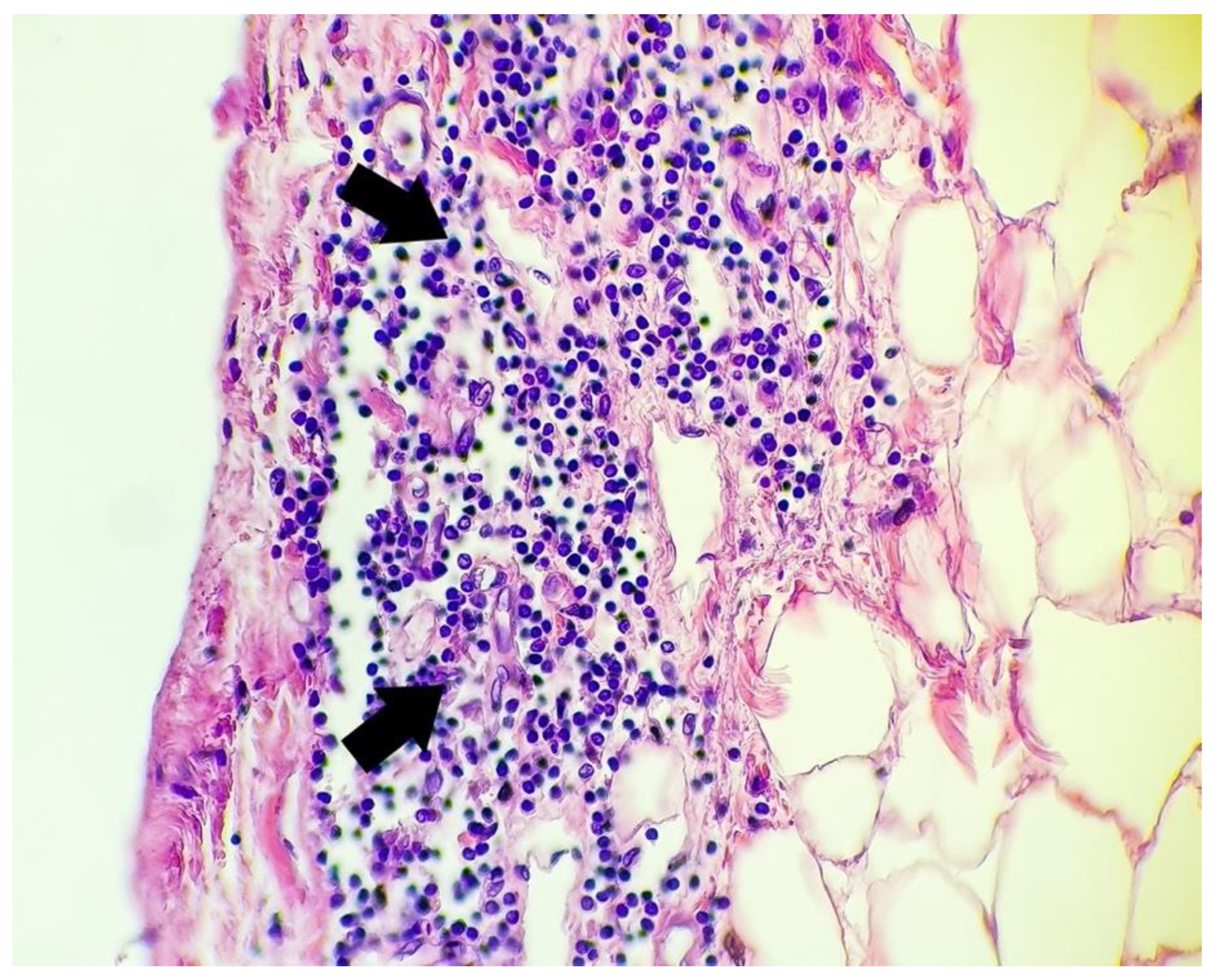 Microorganisms 10 01258 g004 550