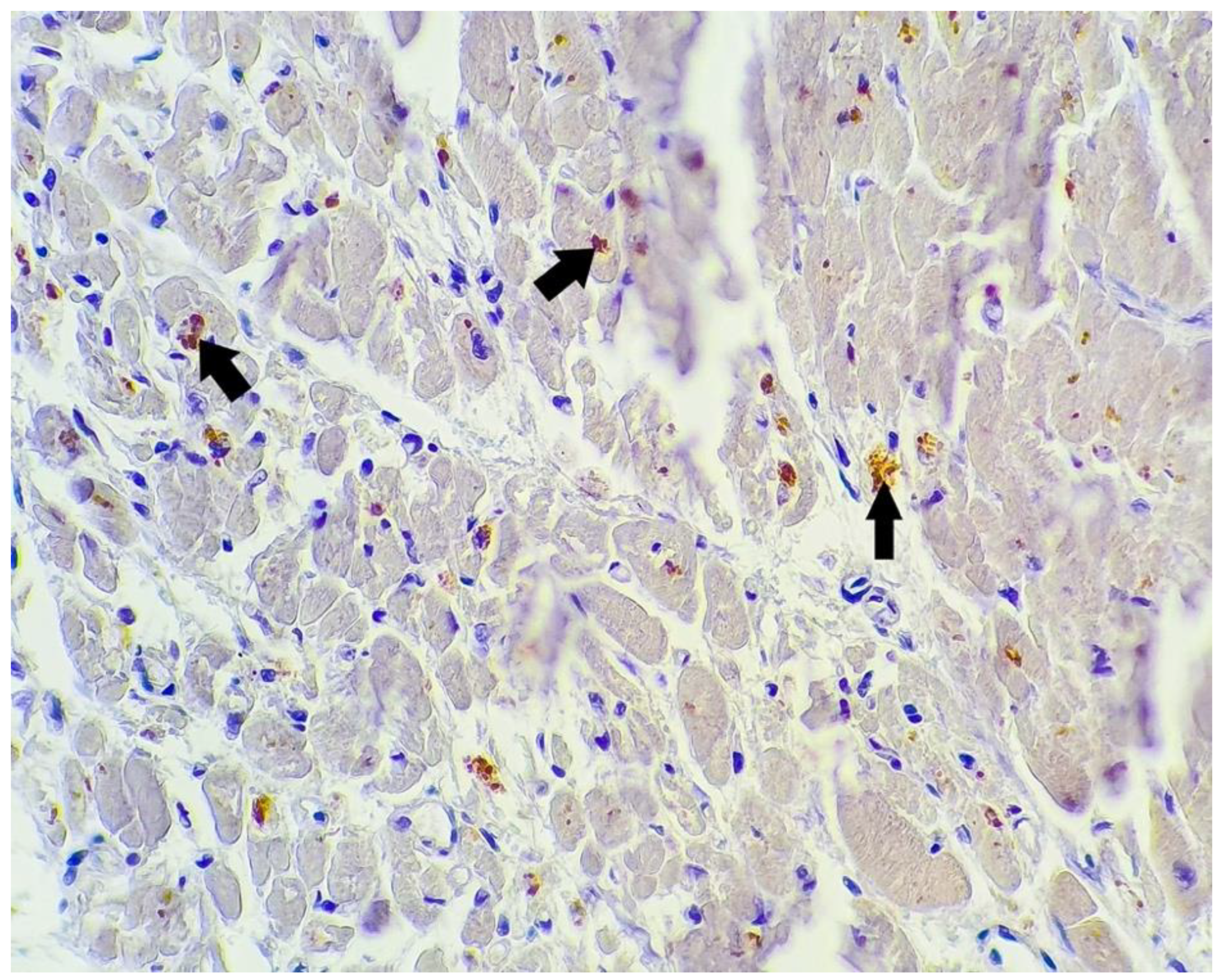 Microorganisms 10 01258 g006 550