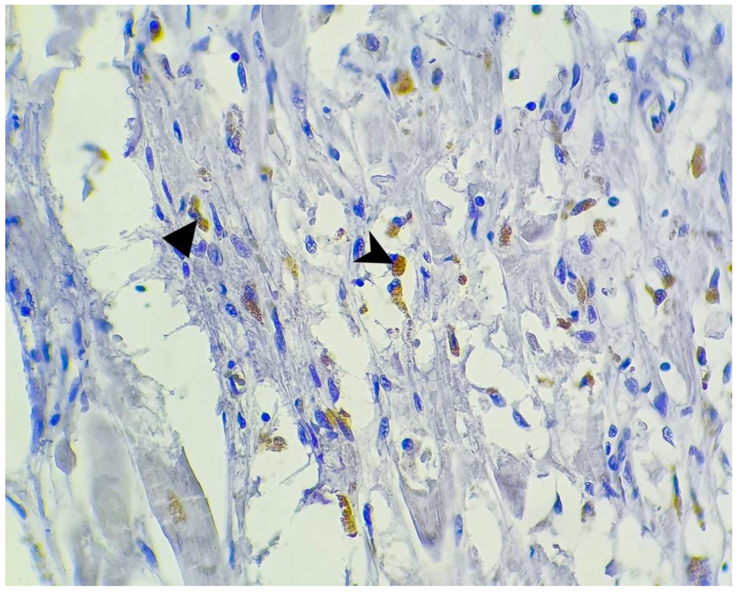 Microorganisms 10 01258 g007 550
