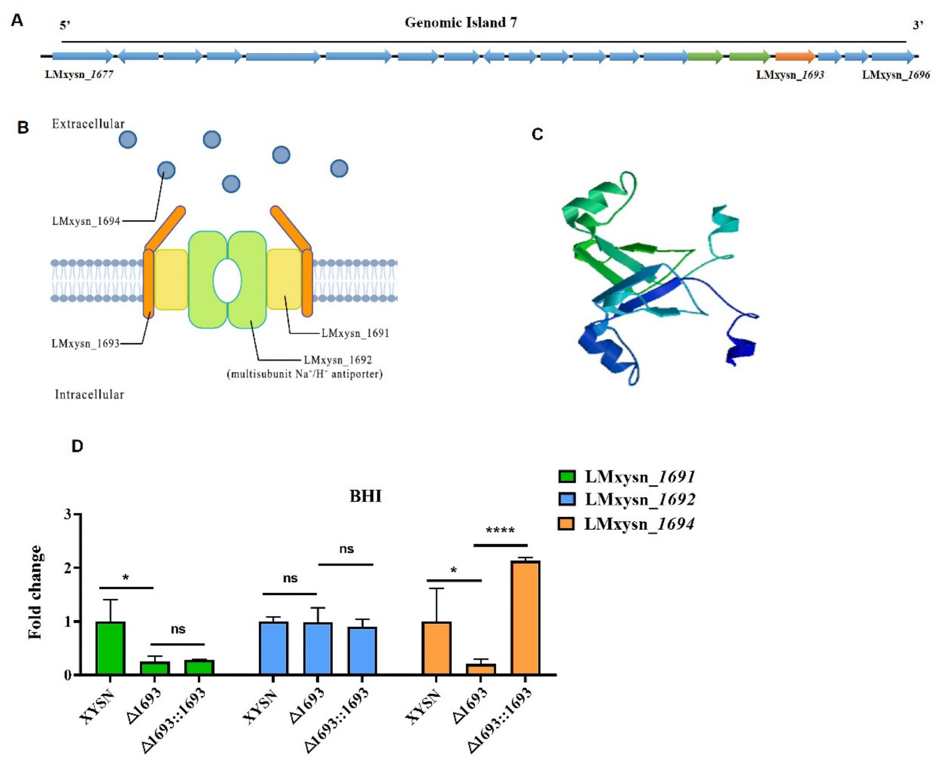 Microorganisms 10 01263 g001