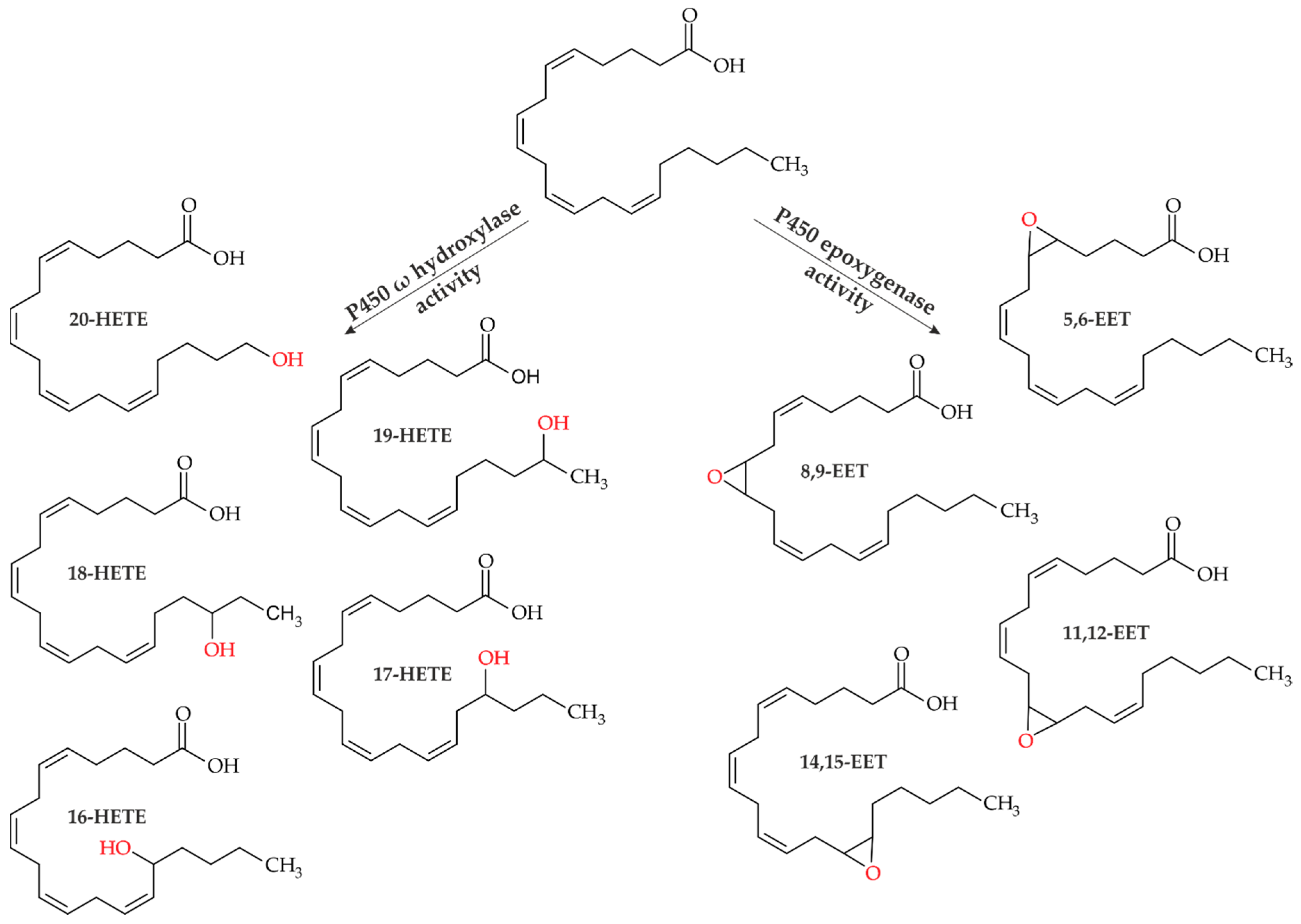 Microorganisms 10 01267 g001