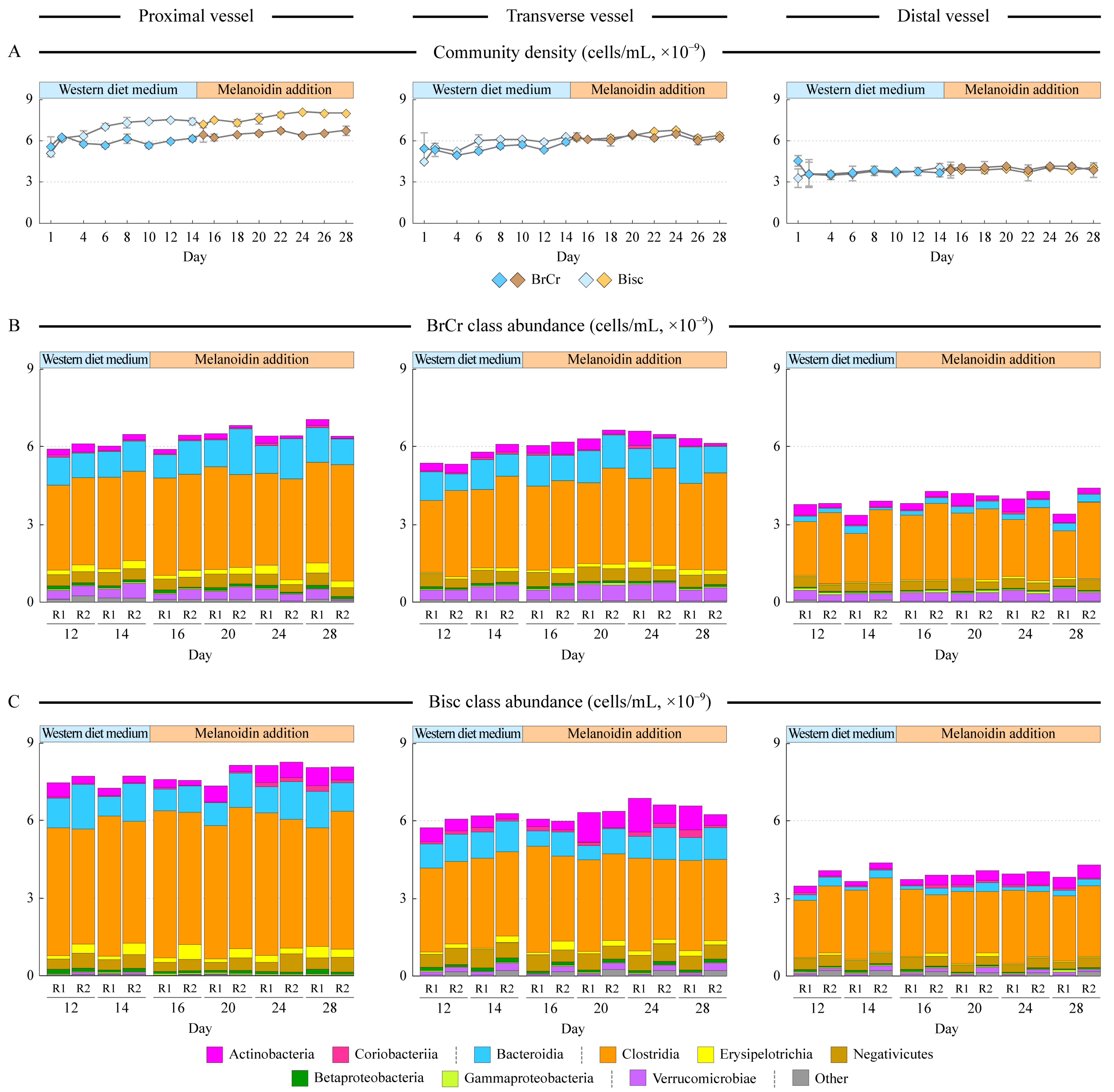 Microorganisms 10 01268 g001