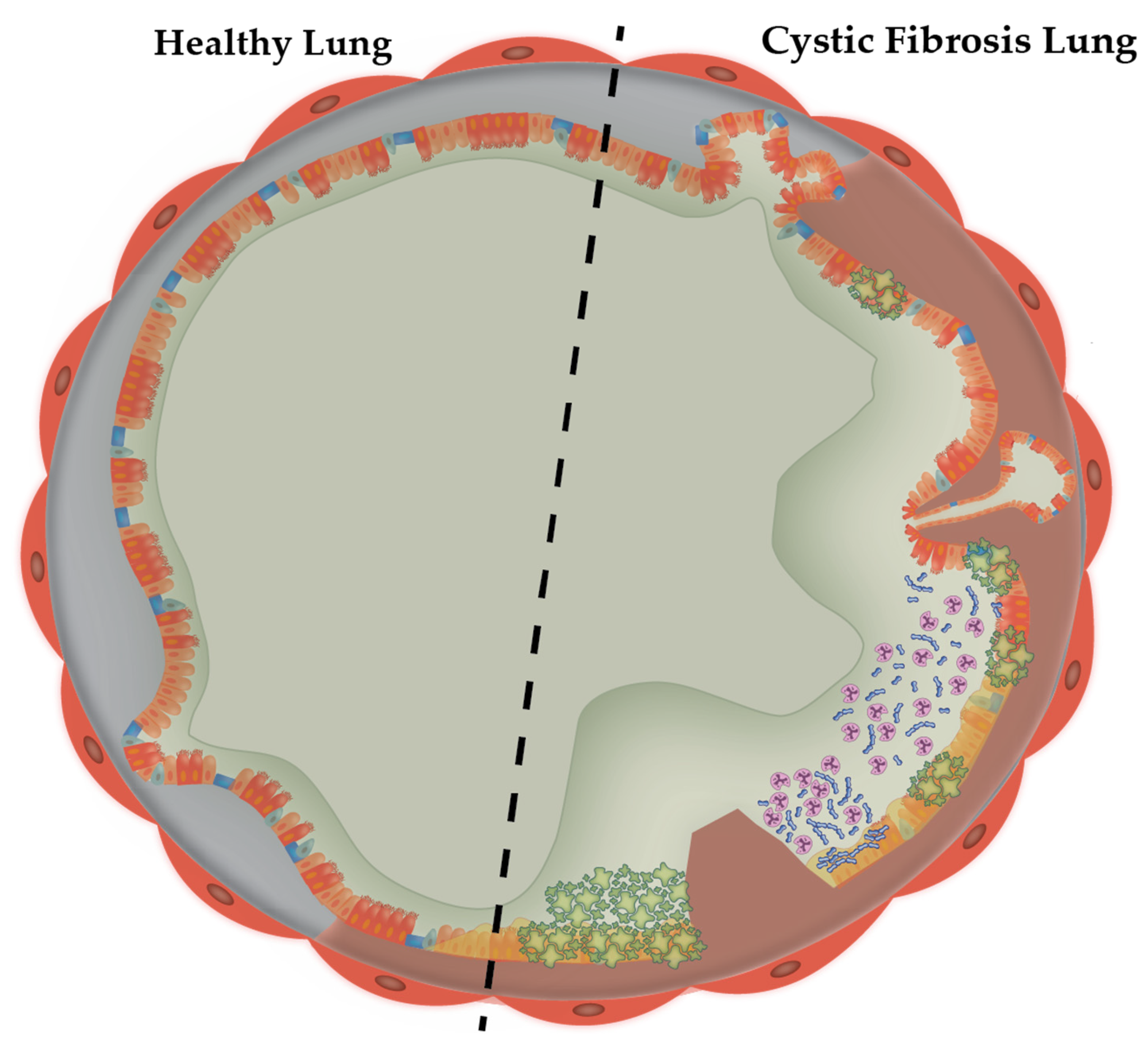 Microorganisms 10 01269 g001 Microorganisms 10 01269 g001