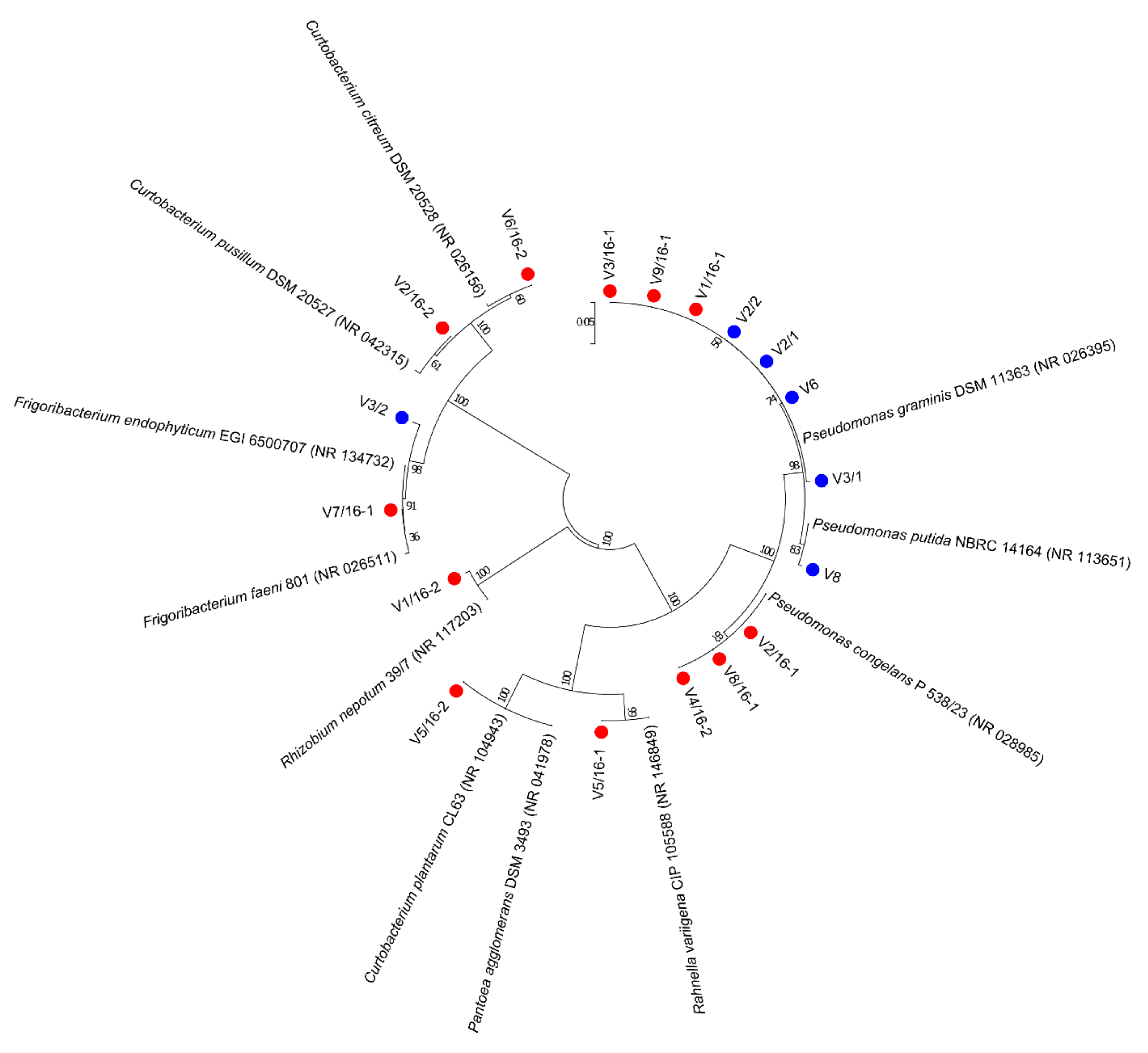 Microorganisms 10 01282 g001 550