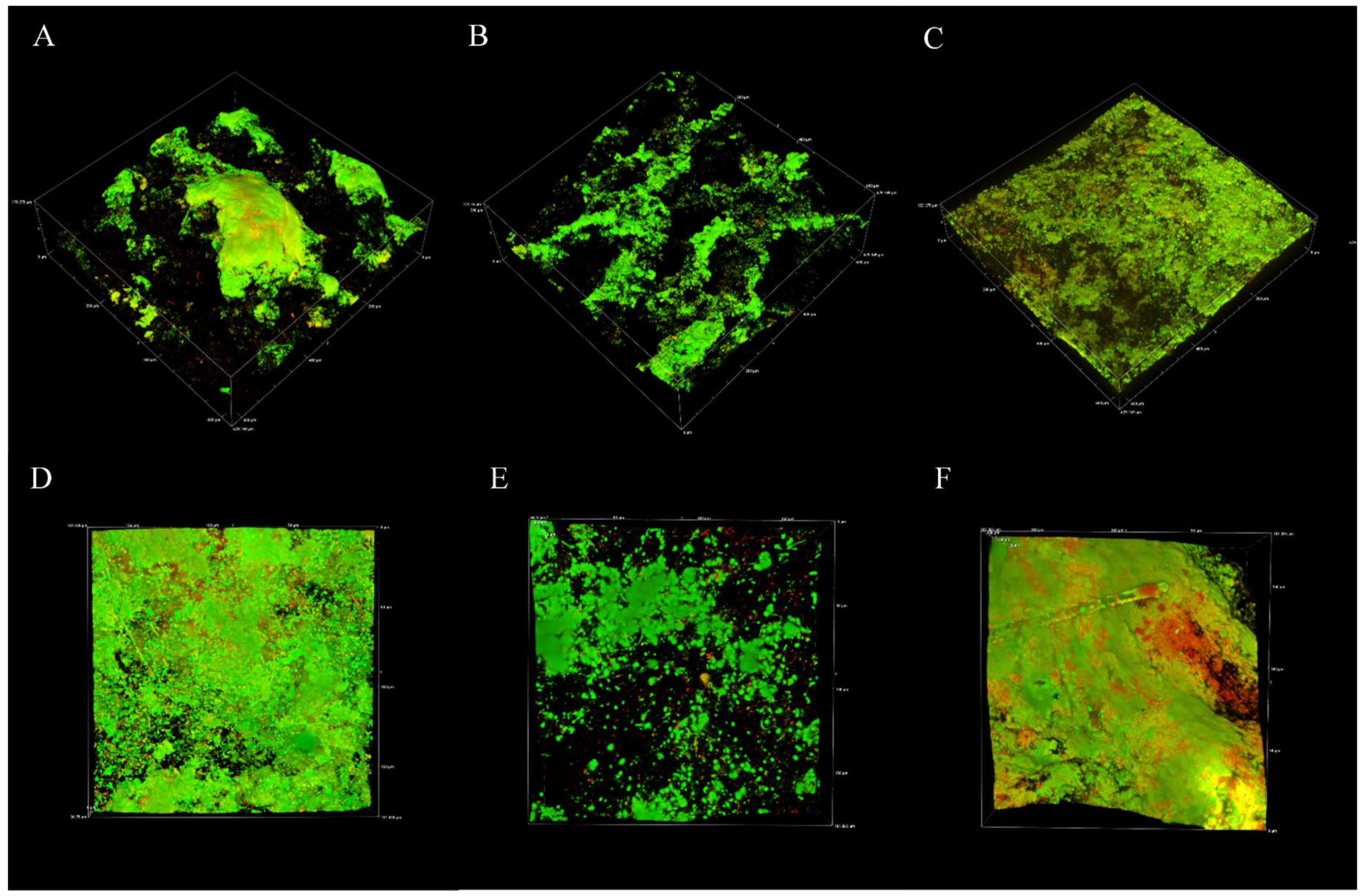 Microorganisms 10 01285 g005 Microorganisms 10 01285 g005