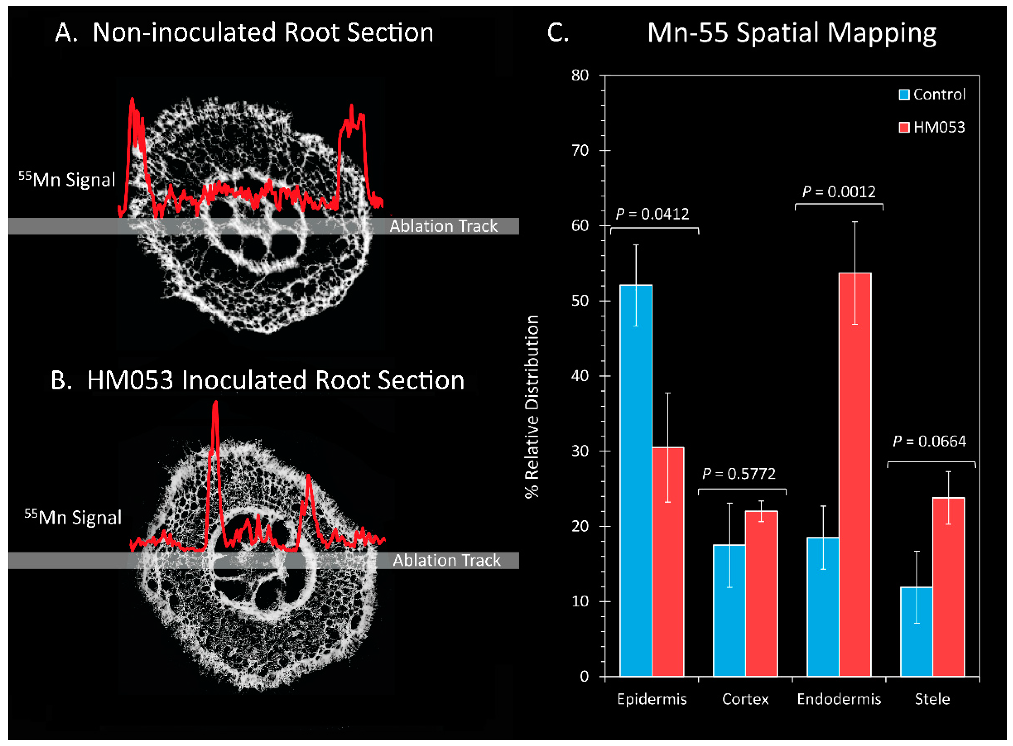 Microorganisms 10 01290 g005