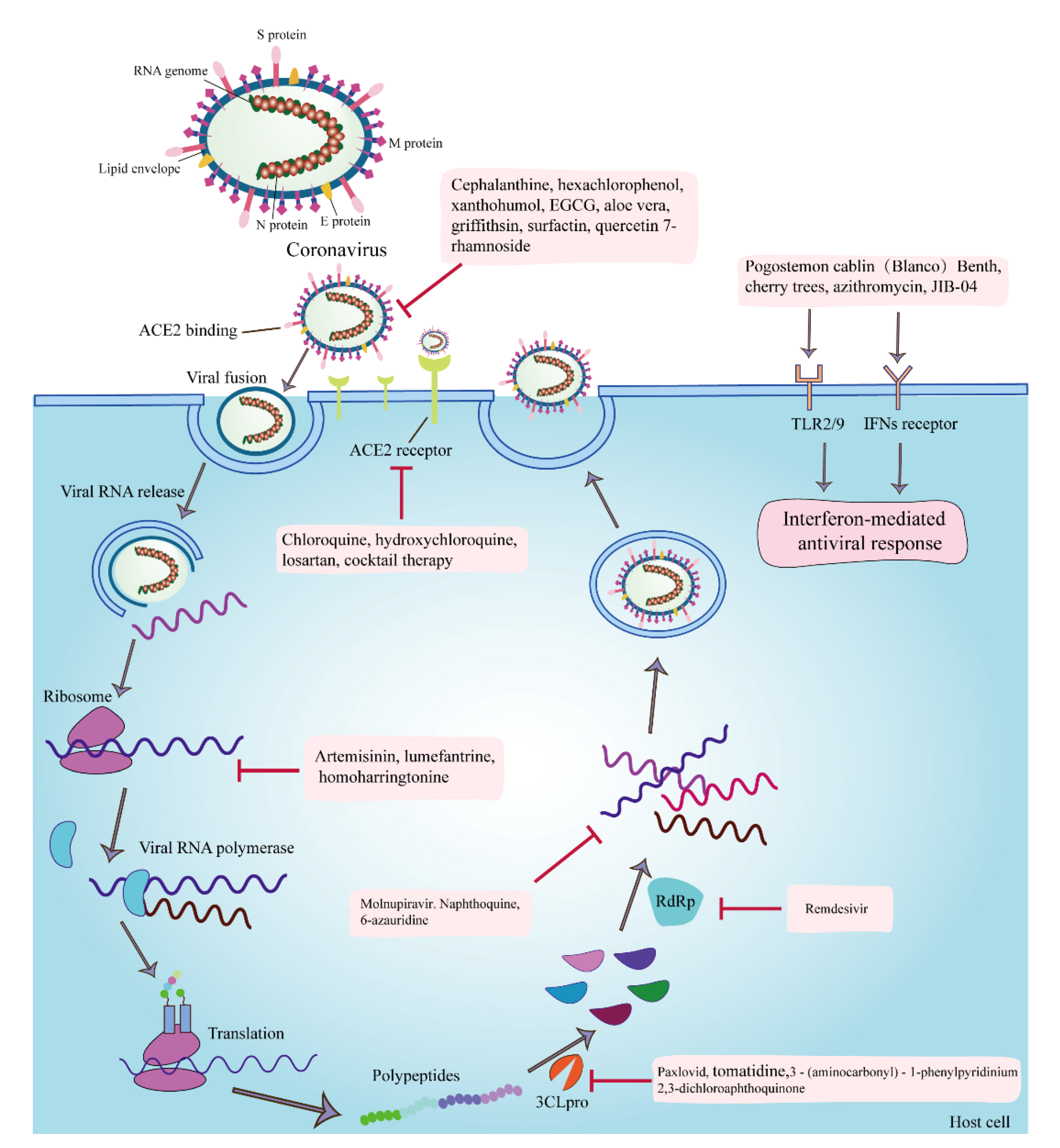 Microorganisms 10 01294 g001 Microorganisms 10 01294 g001