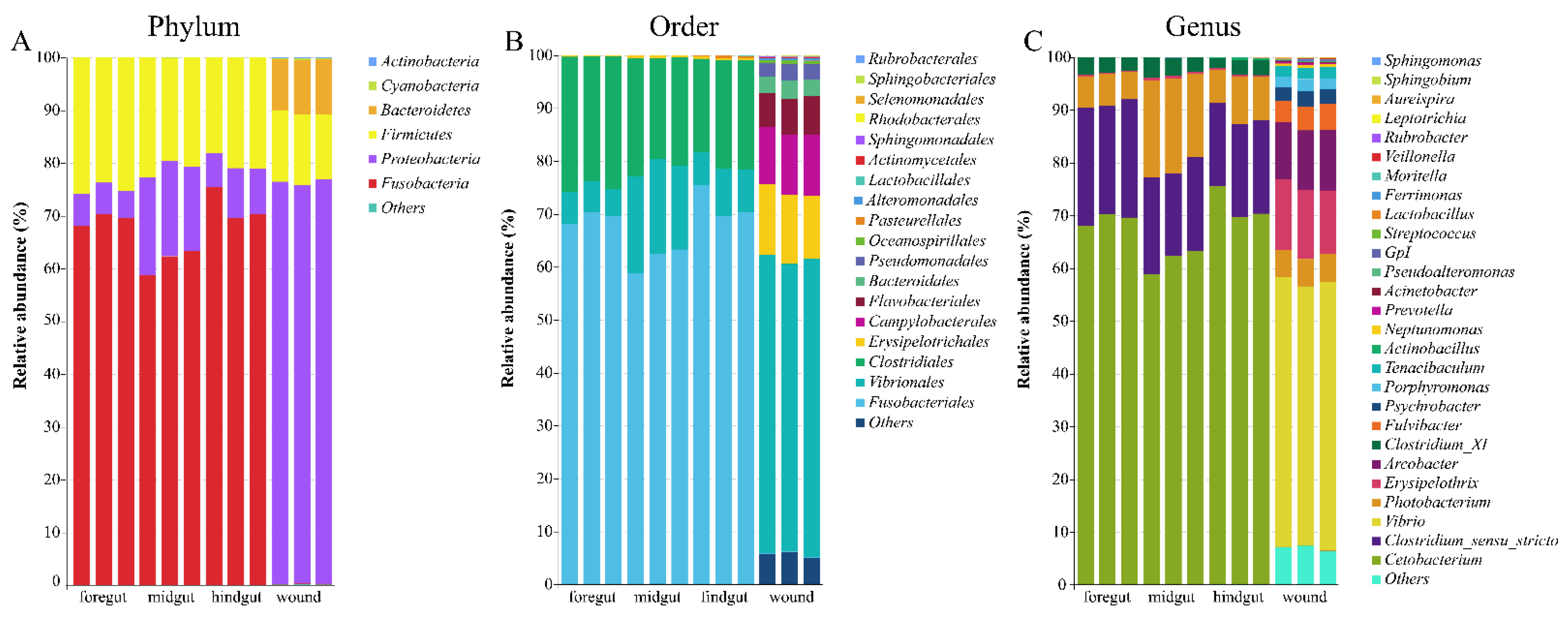 Microorganisms 10 01295 g004