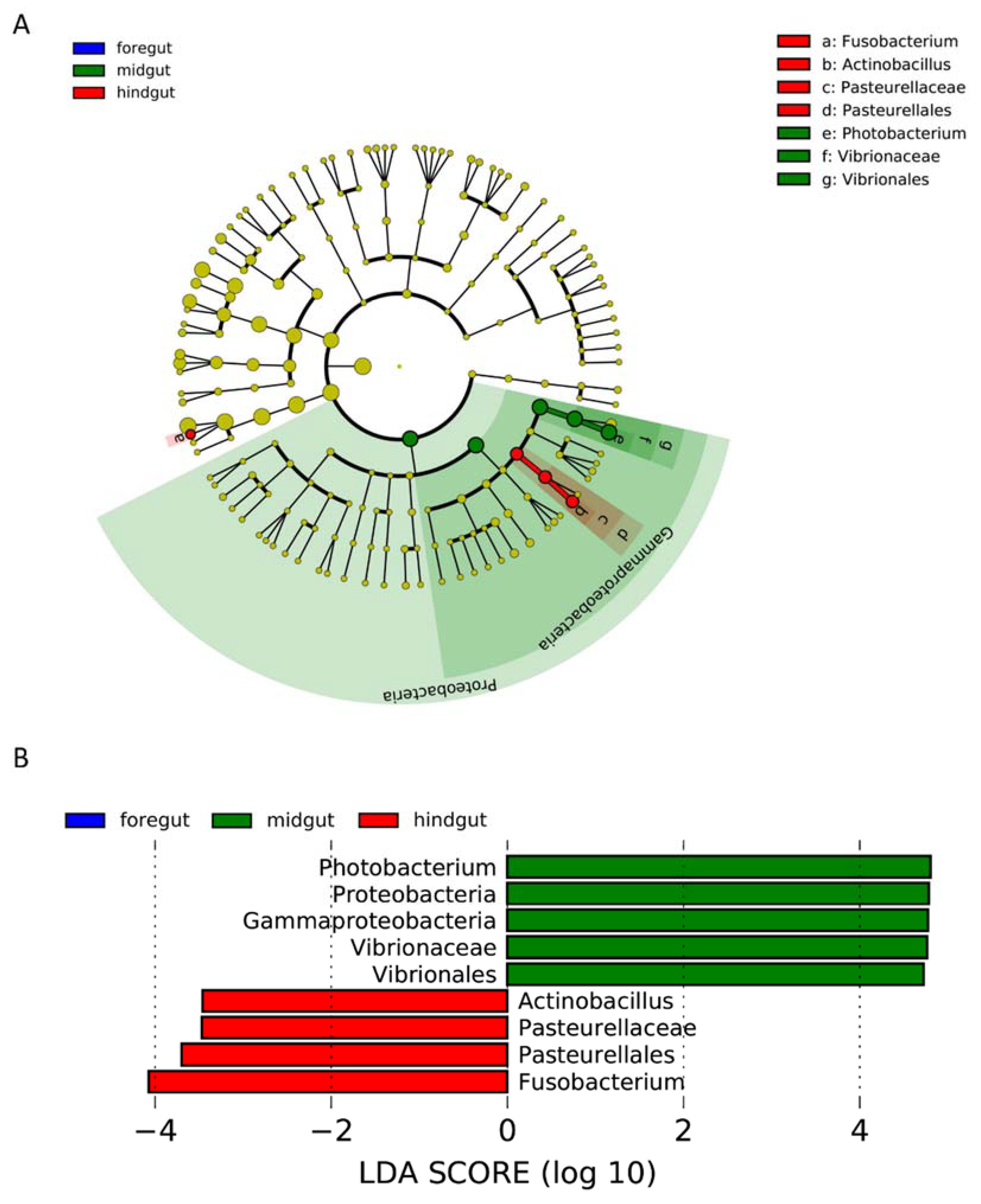 Microorganisms 10 01295 g005