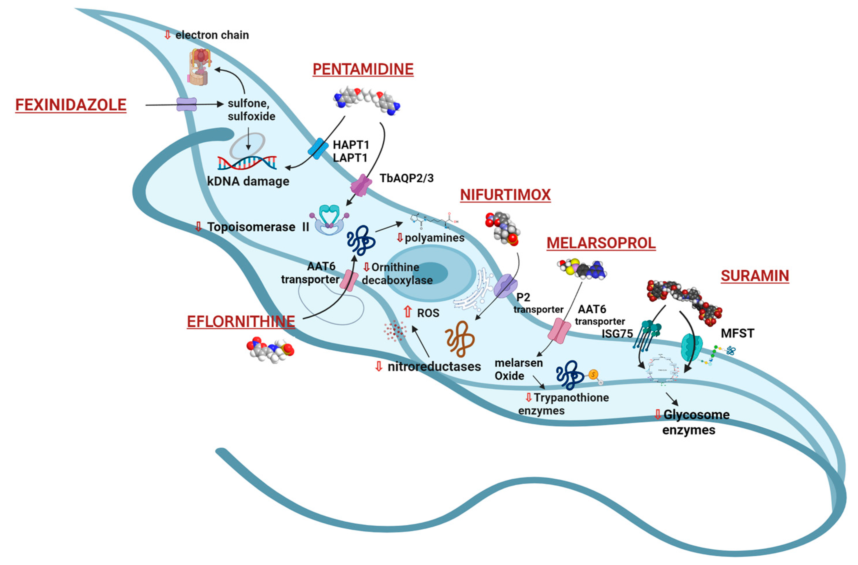 Microorganisms 10 01298 g002a Microorganisms 10 01298 g002a