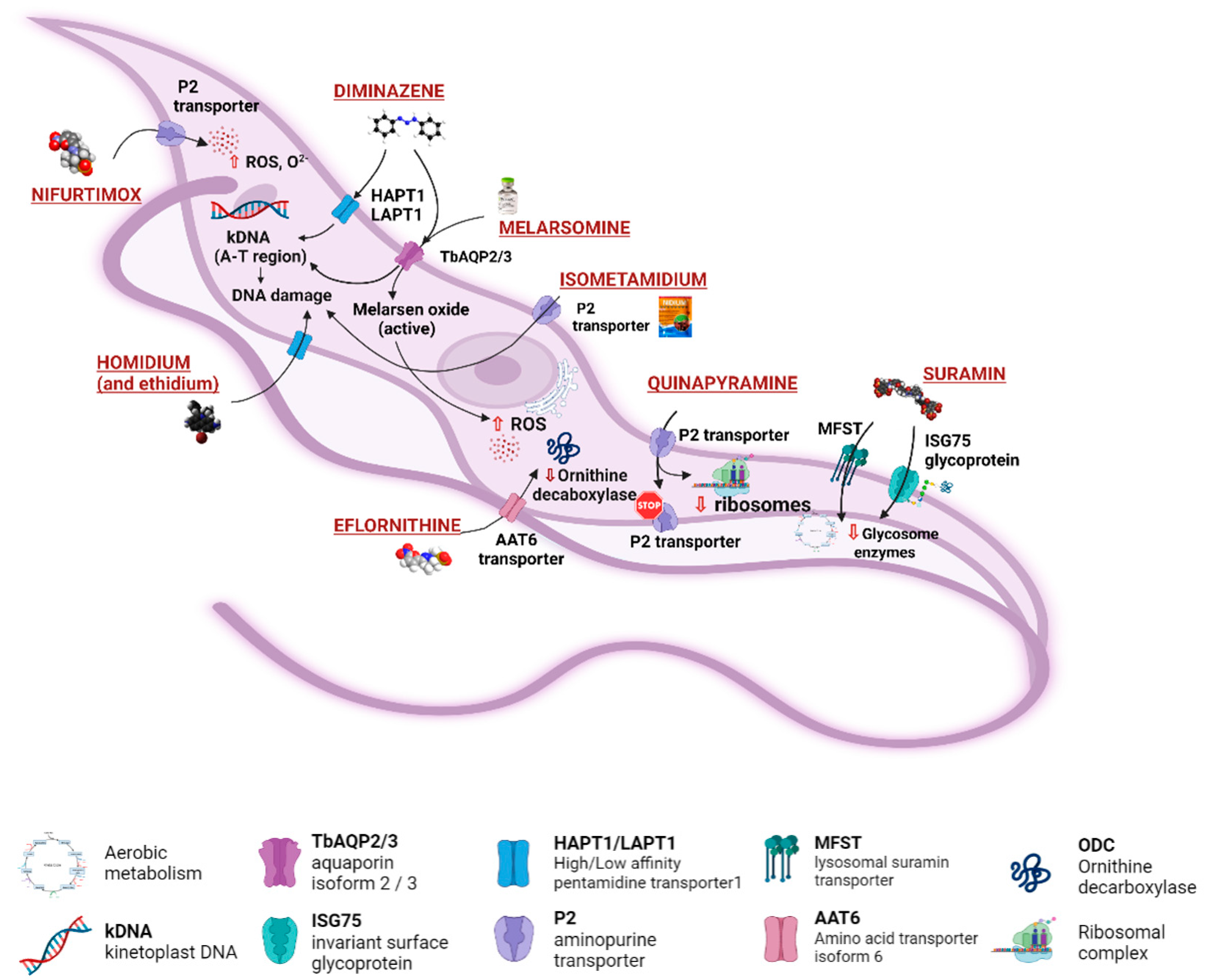 Microorganisms 10 01298 g003
