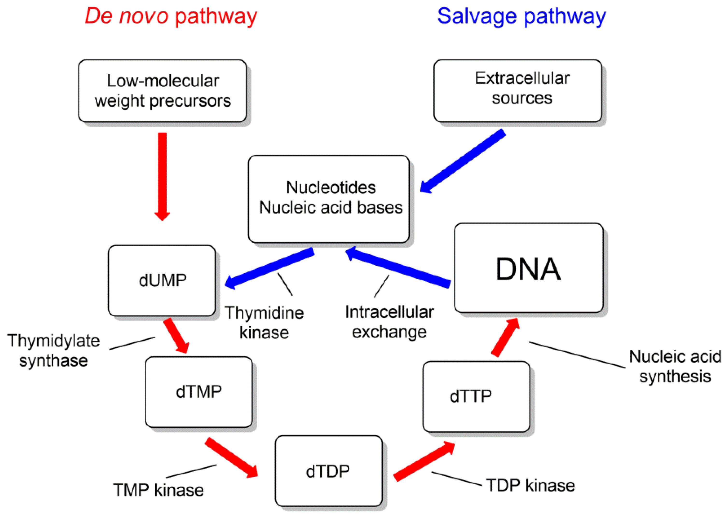 Microorganisms 10 01299 g012