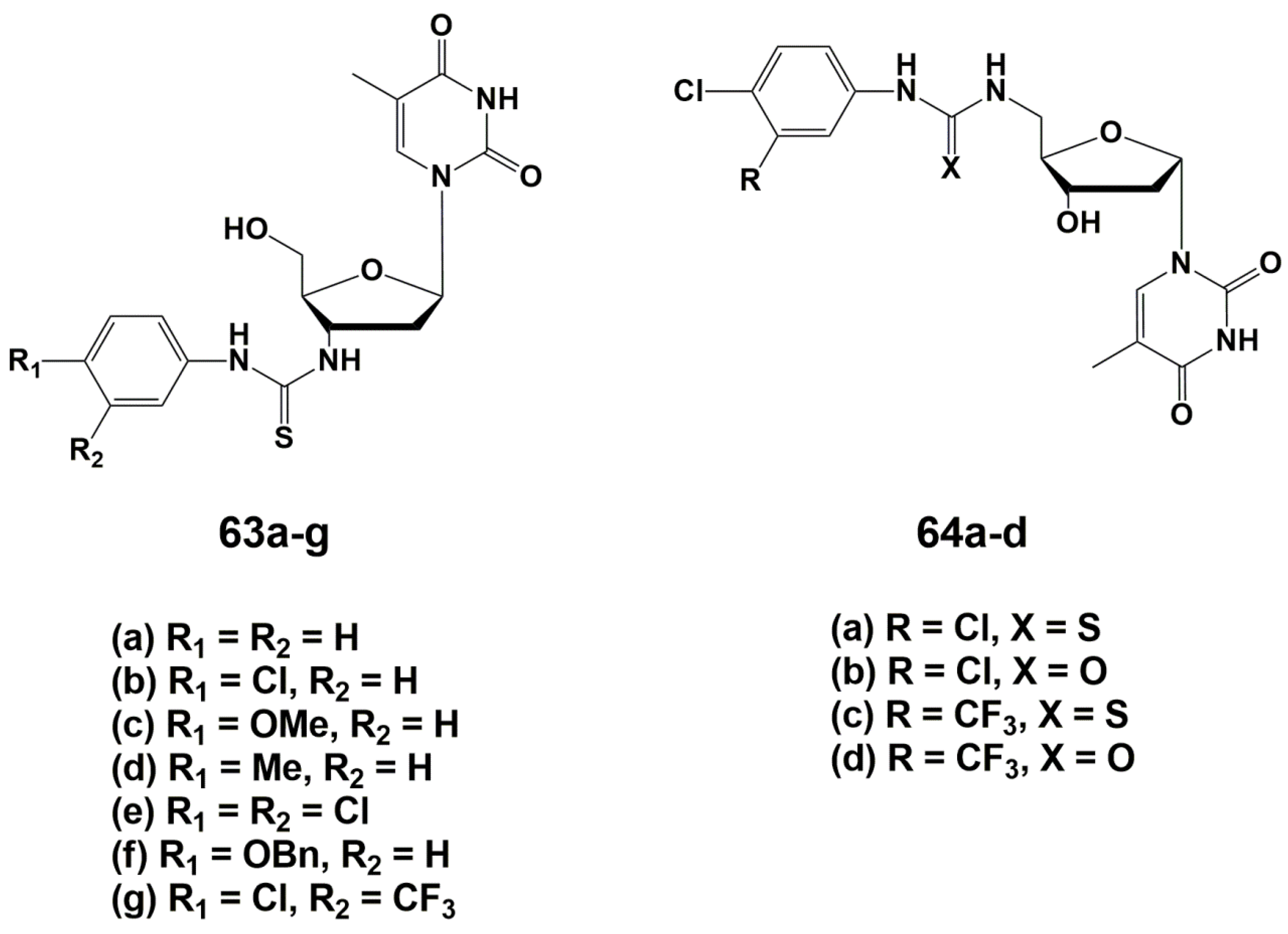 Microorganisms 10 01299 g015
