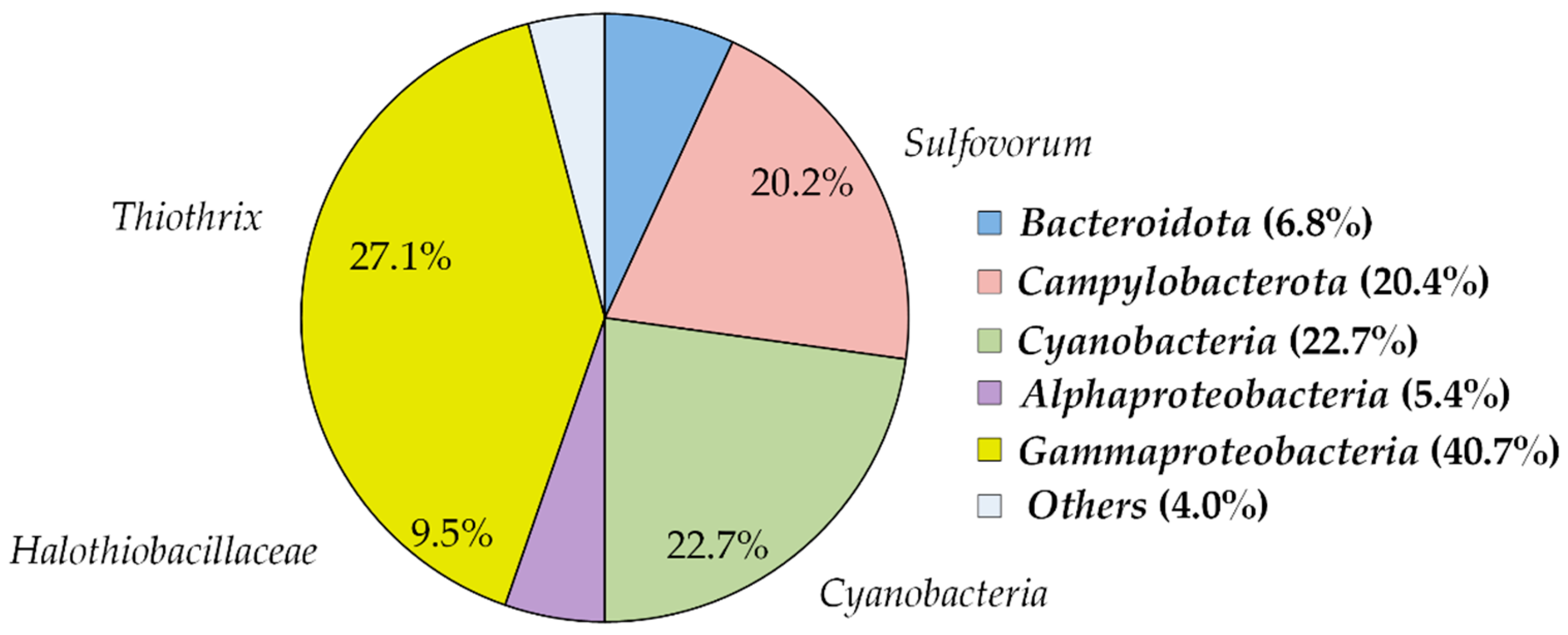 Microorganisms 10 01300 g001