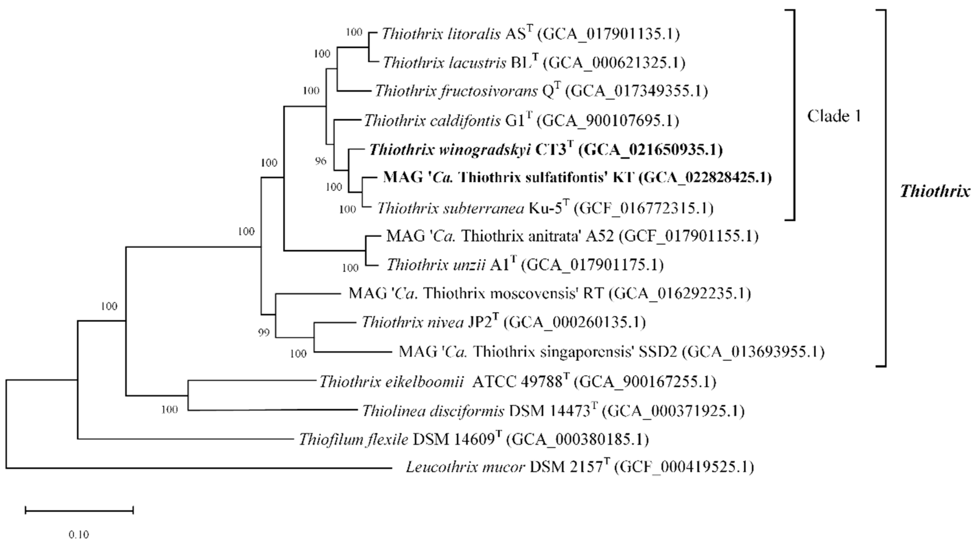 Microorganisms 10 01300 g003