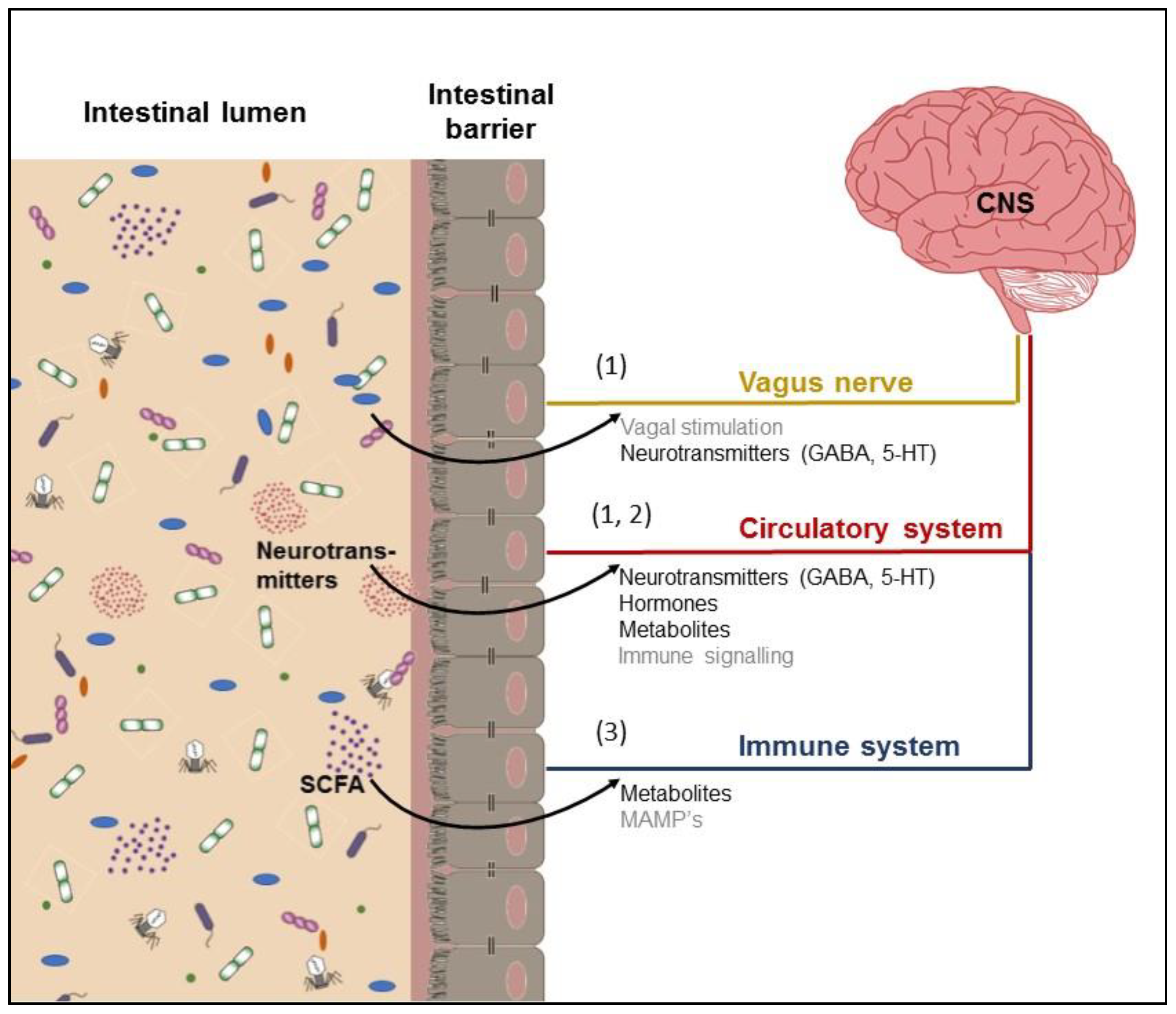 Microorganisms 10 01305 g001