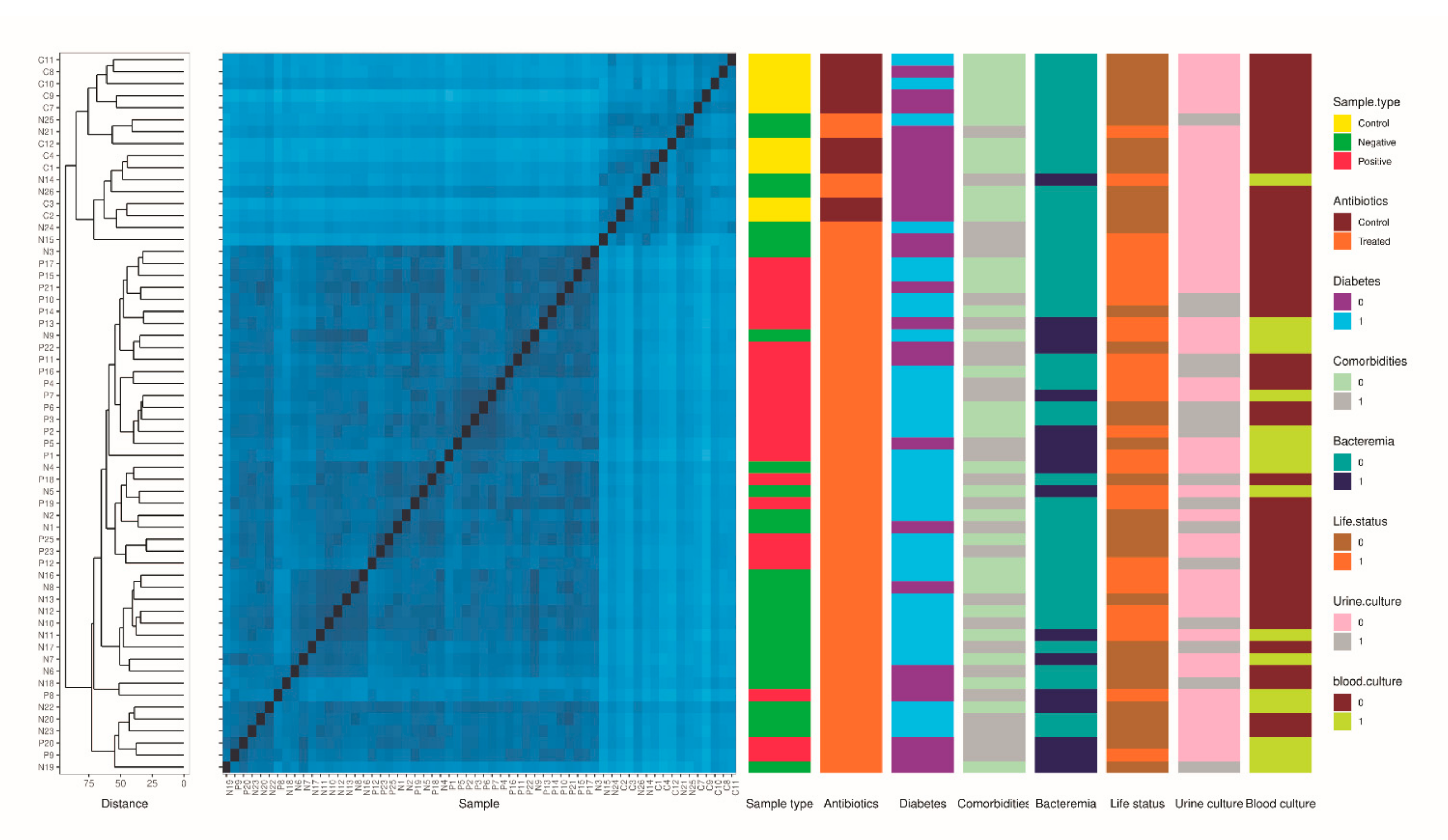 Microorganisms 10 01309 g002