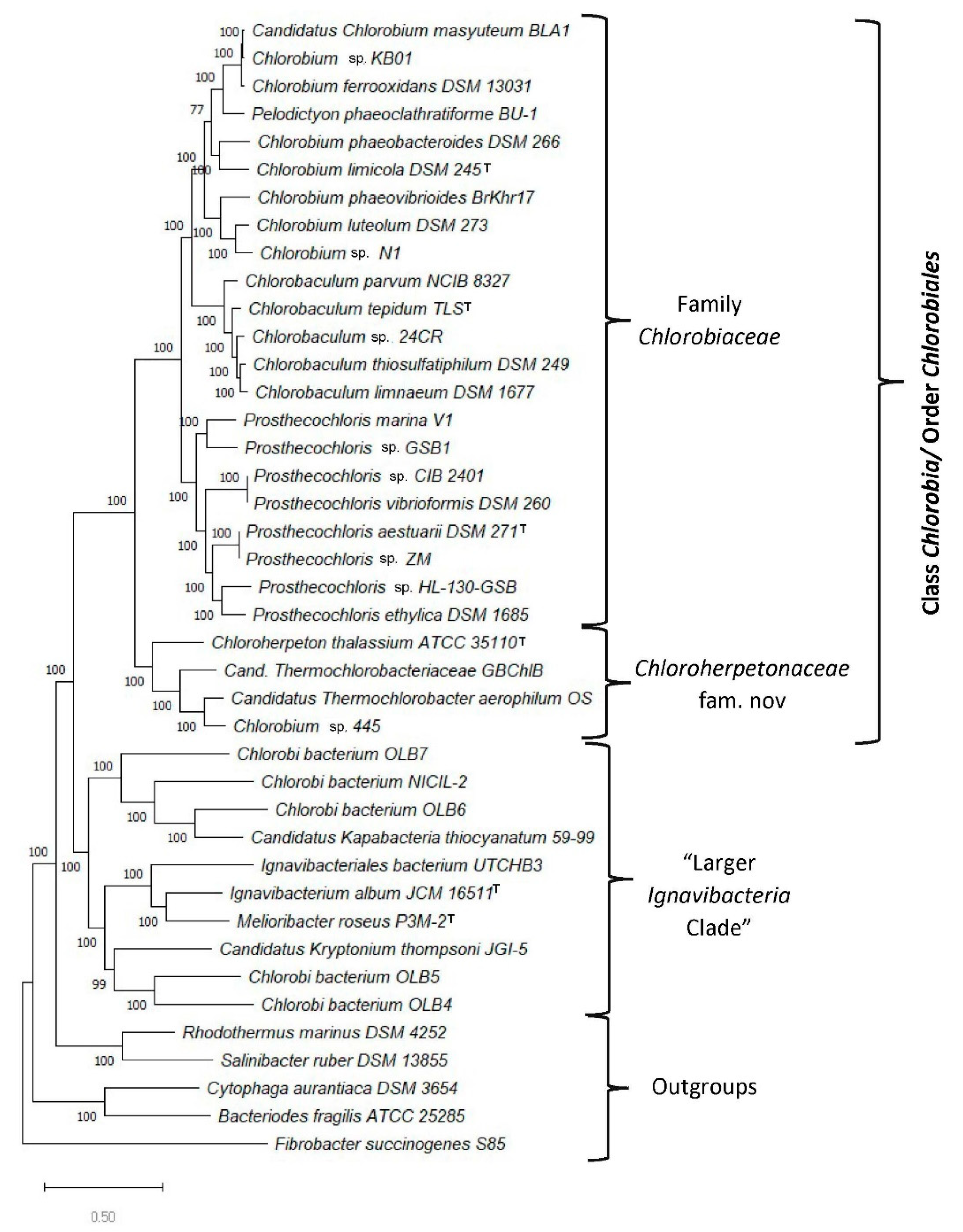 Microorganisms 10 01312 g001