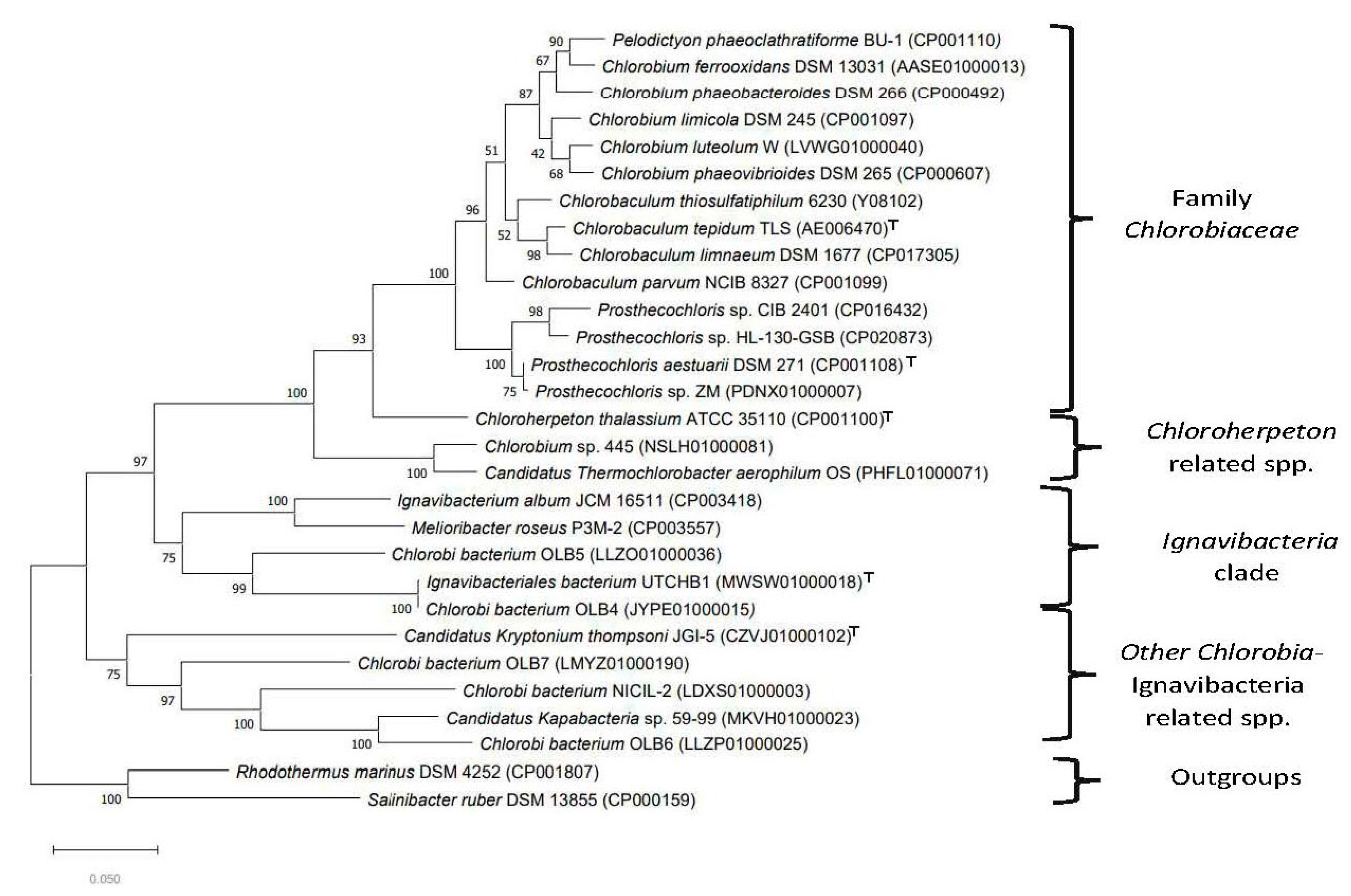 Microorganisms 10 01312 g002