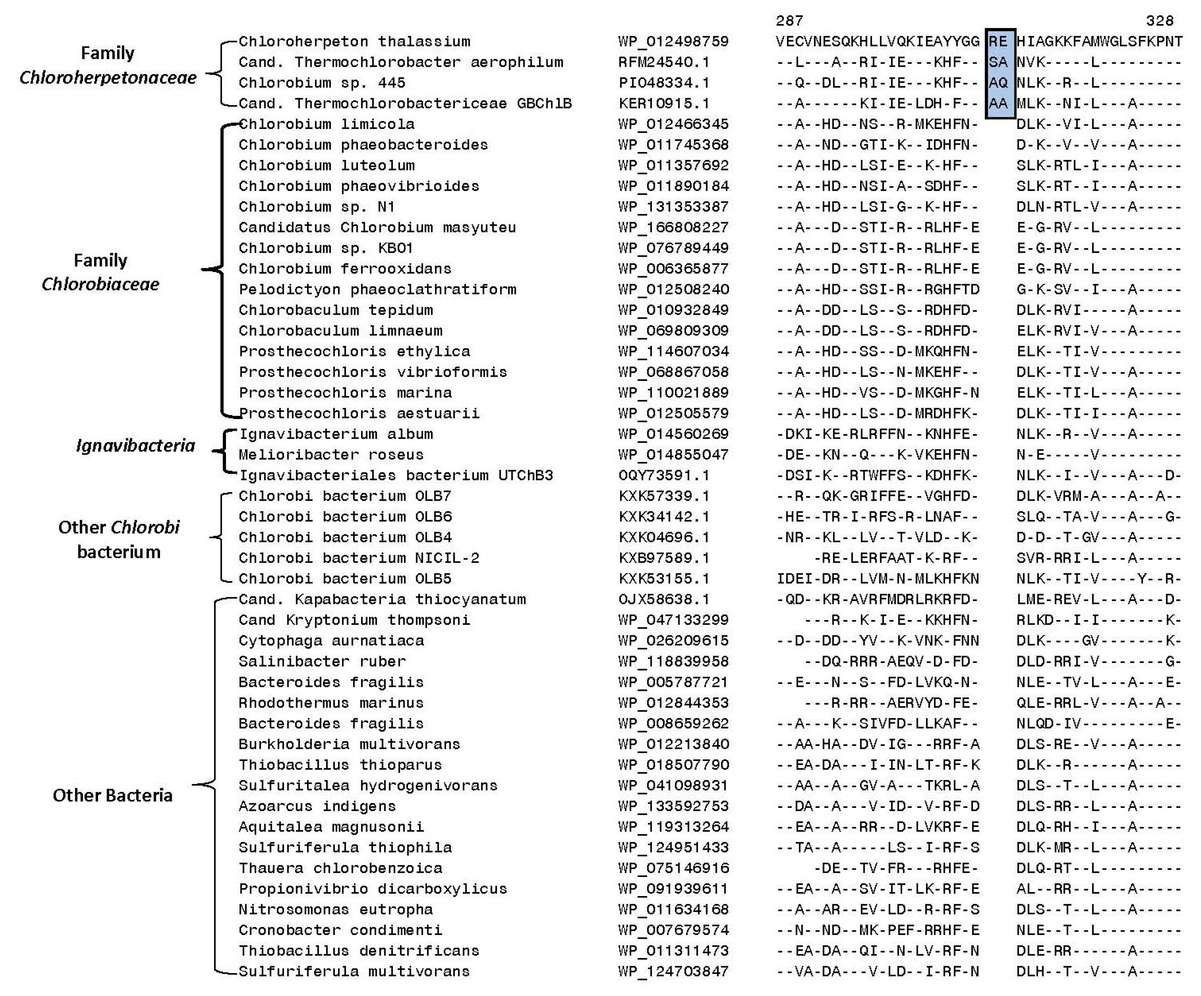 Microorganisms 10 01312 g006