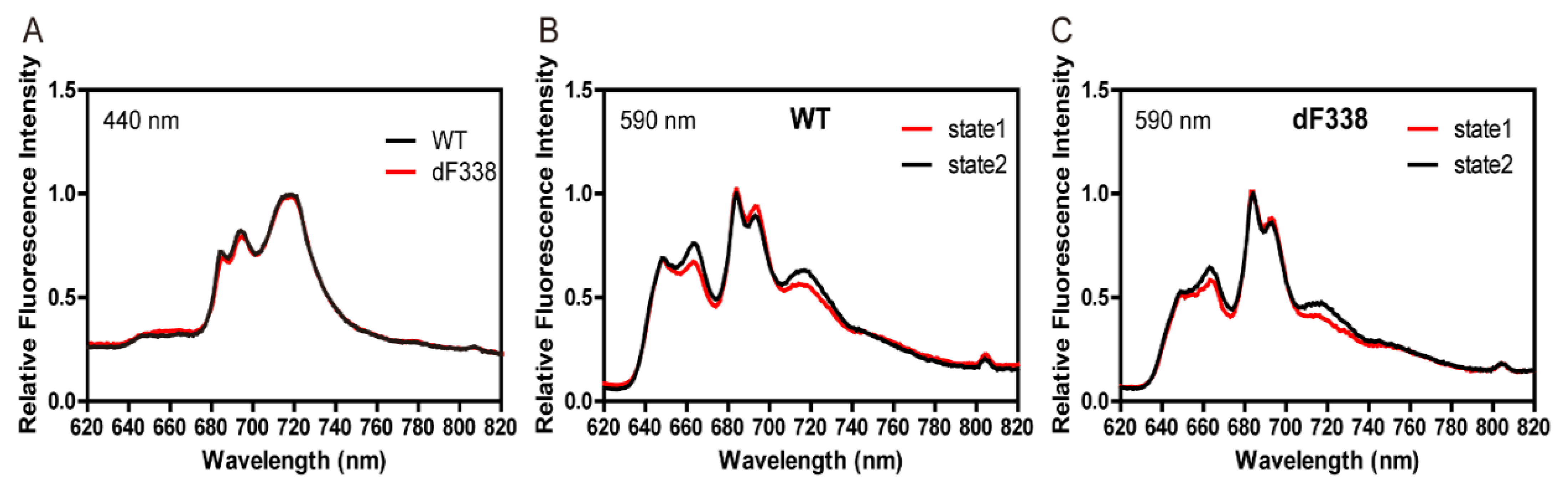 Microorganisms 10 01313 g002