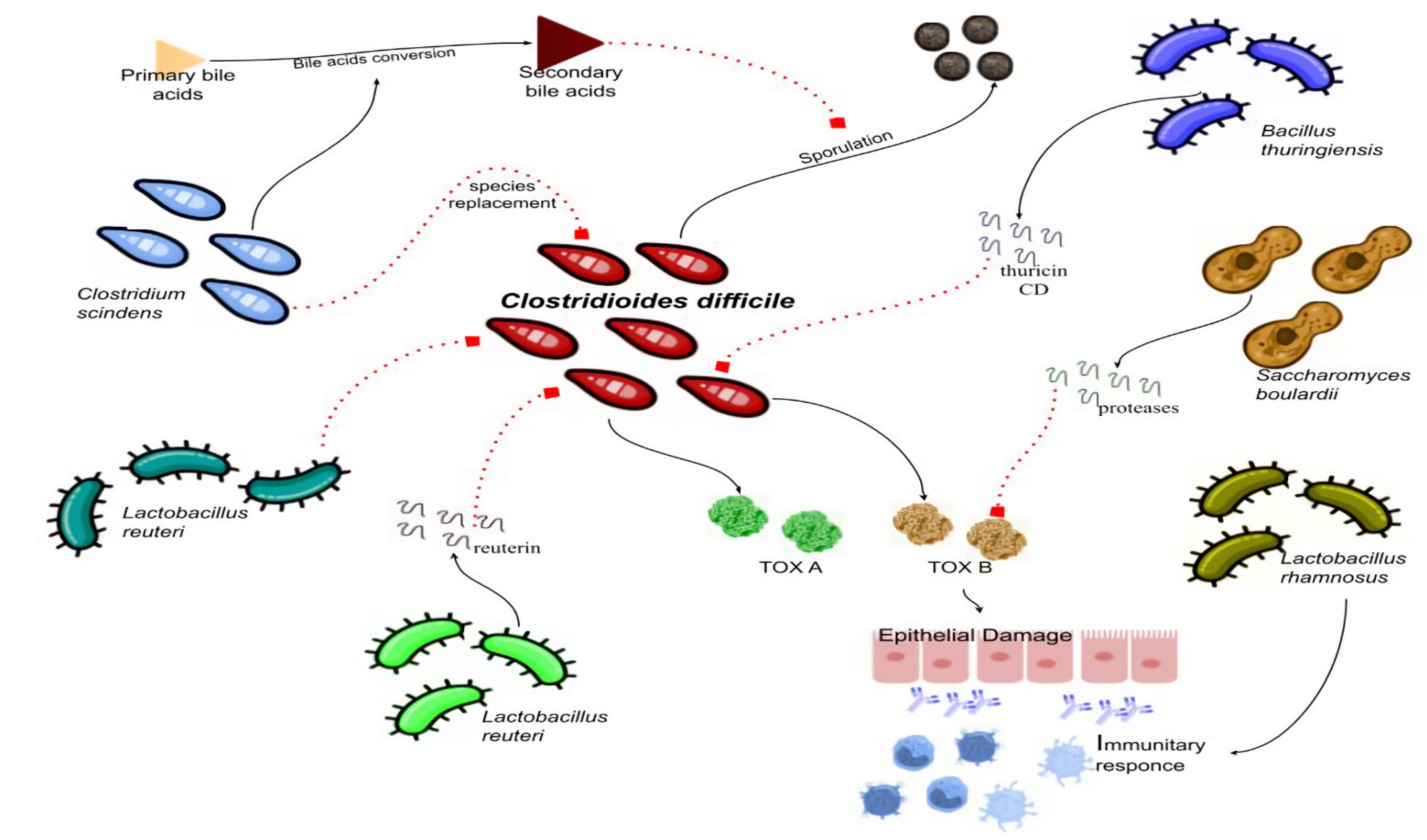 Microorganisms 10 01315 g001