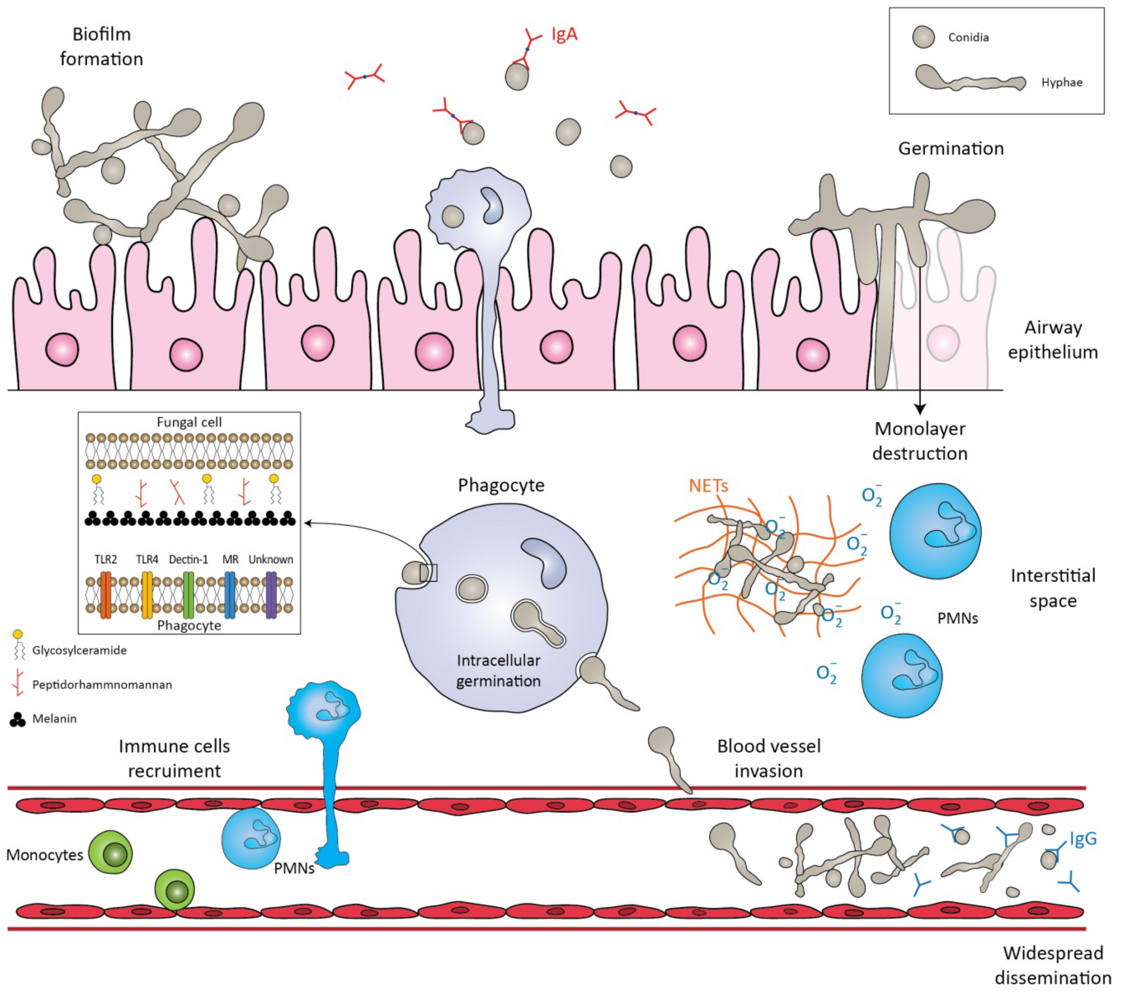 Microorganisms 10 01317 g001 550