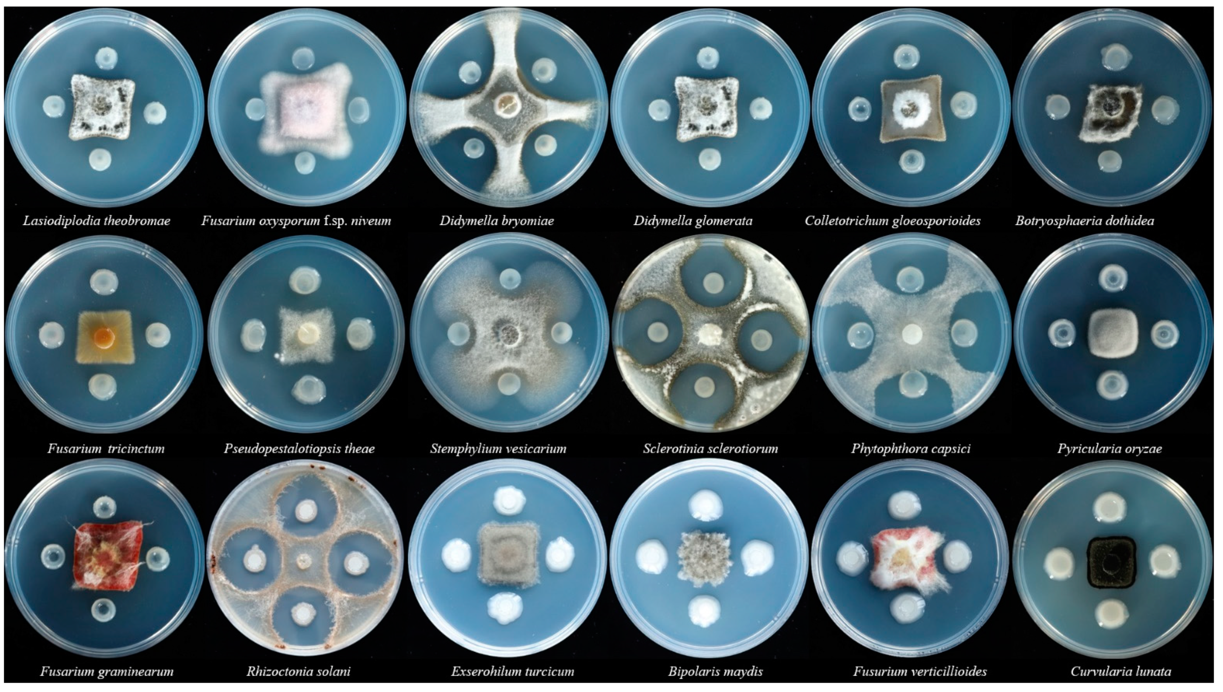 Microorganisms 10 01318 g002