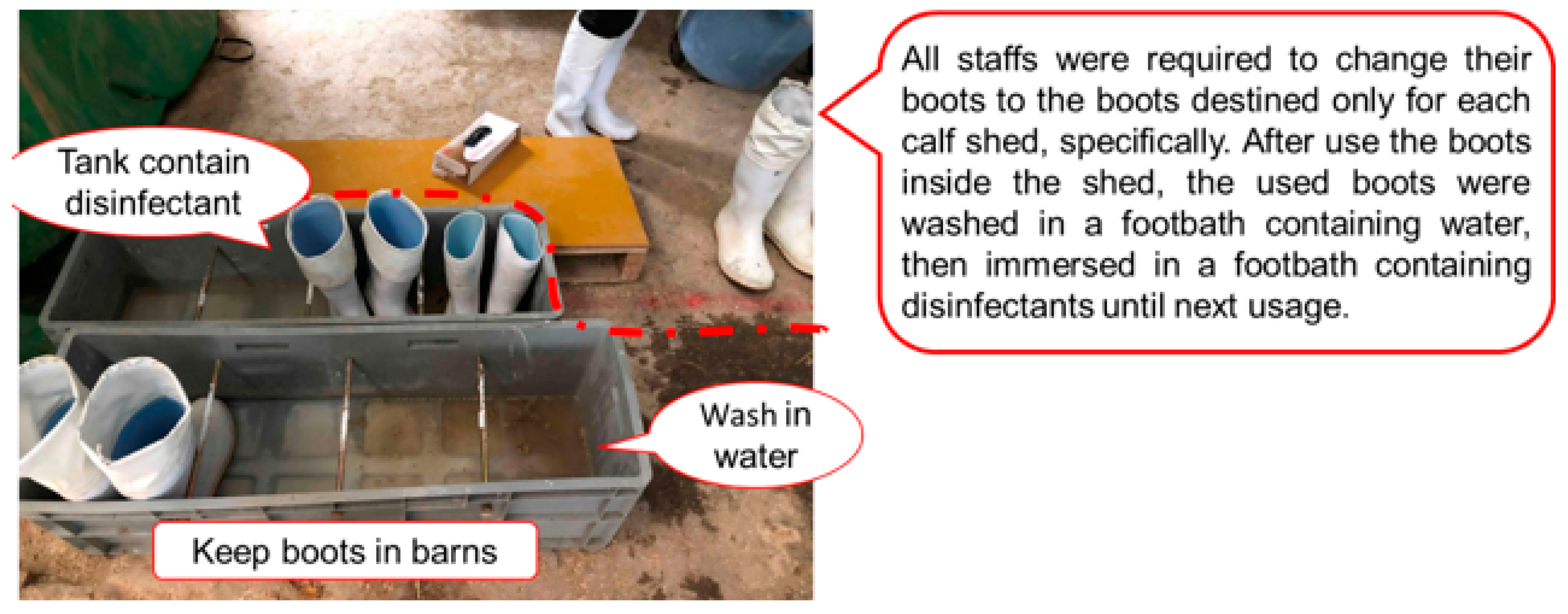 Microorganisms 10 01320 g001 Microorganisms 10 01320 g001