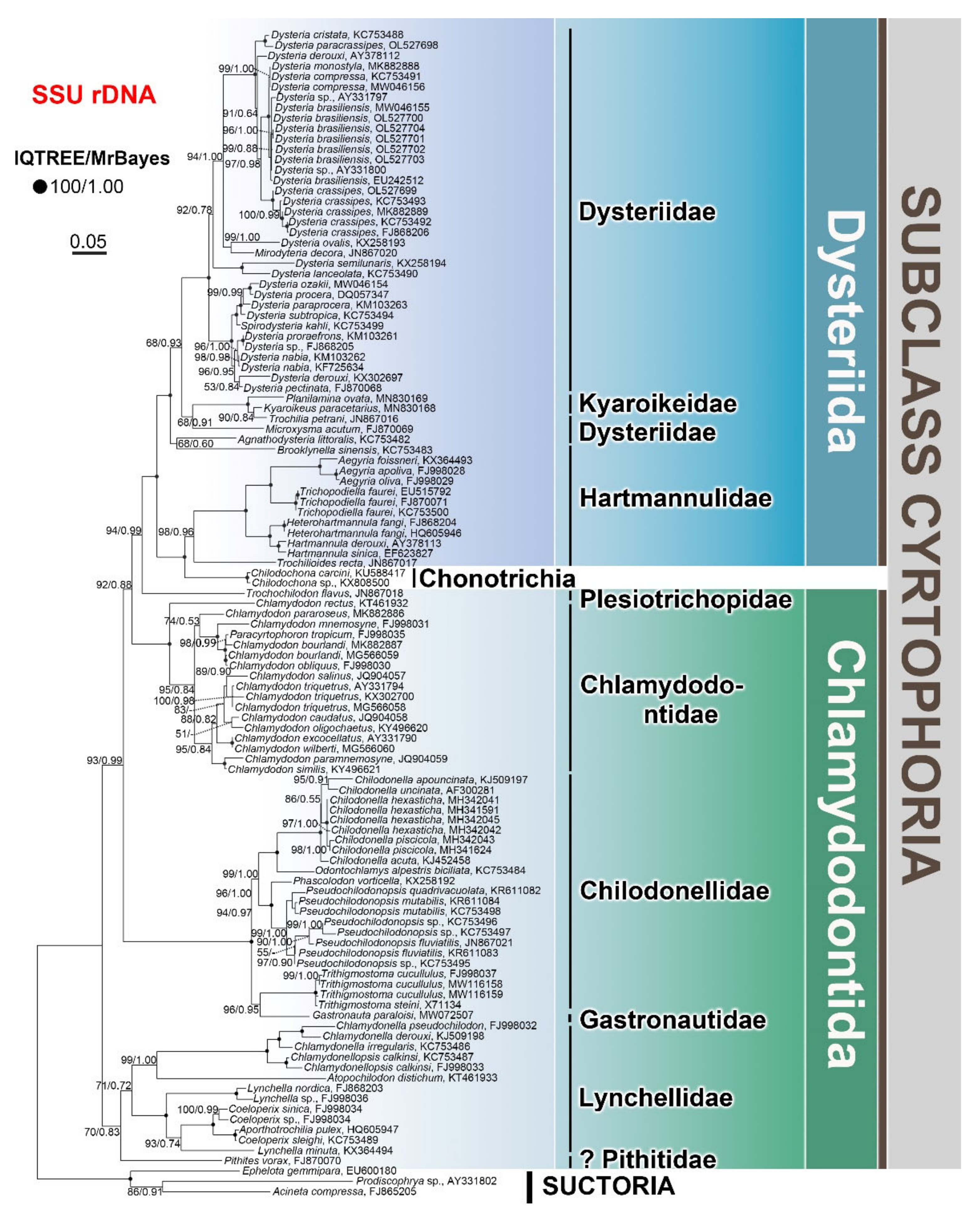 Microorganisms 10 01325 g005 550