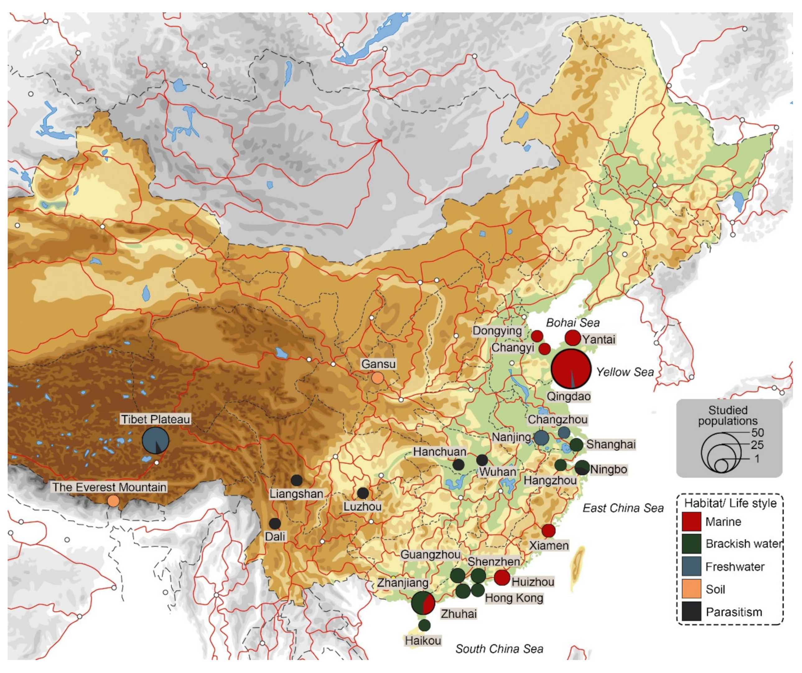 Microorganisms 10 01325 g007 550