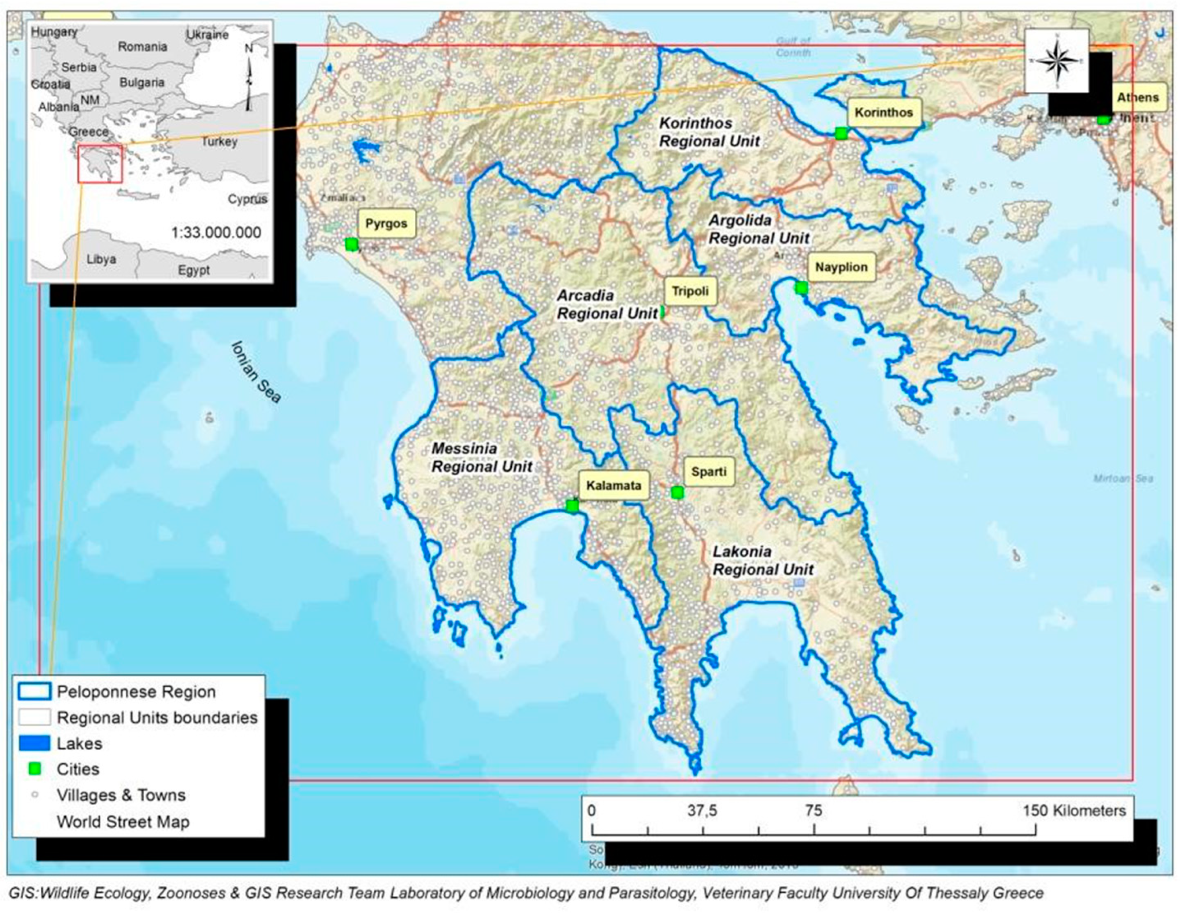 Microorganisms 10 01328 g001