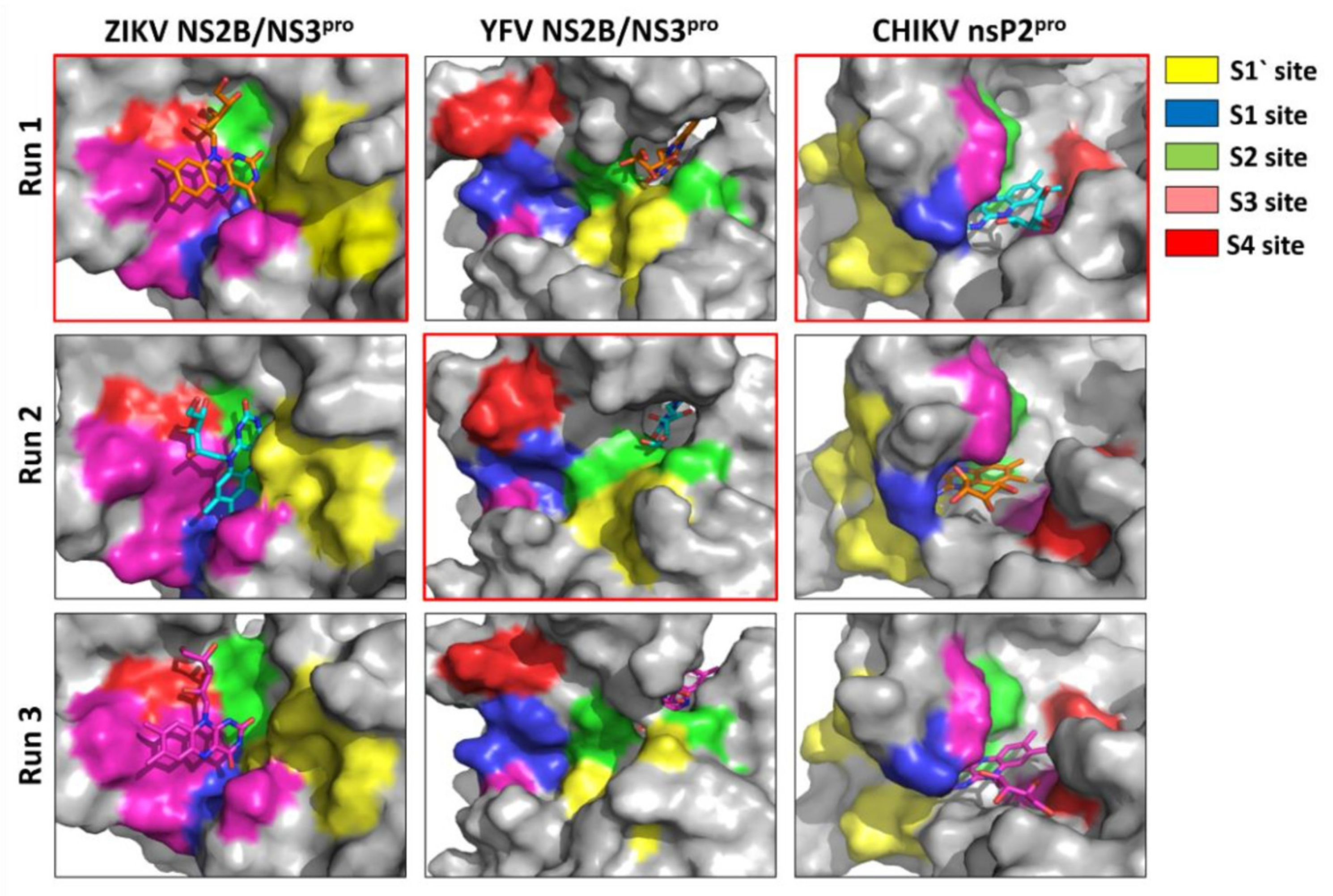 Microorganisms 10 01331 g005 Microorganisms 10 01331 g005